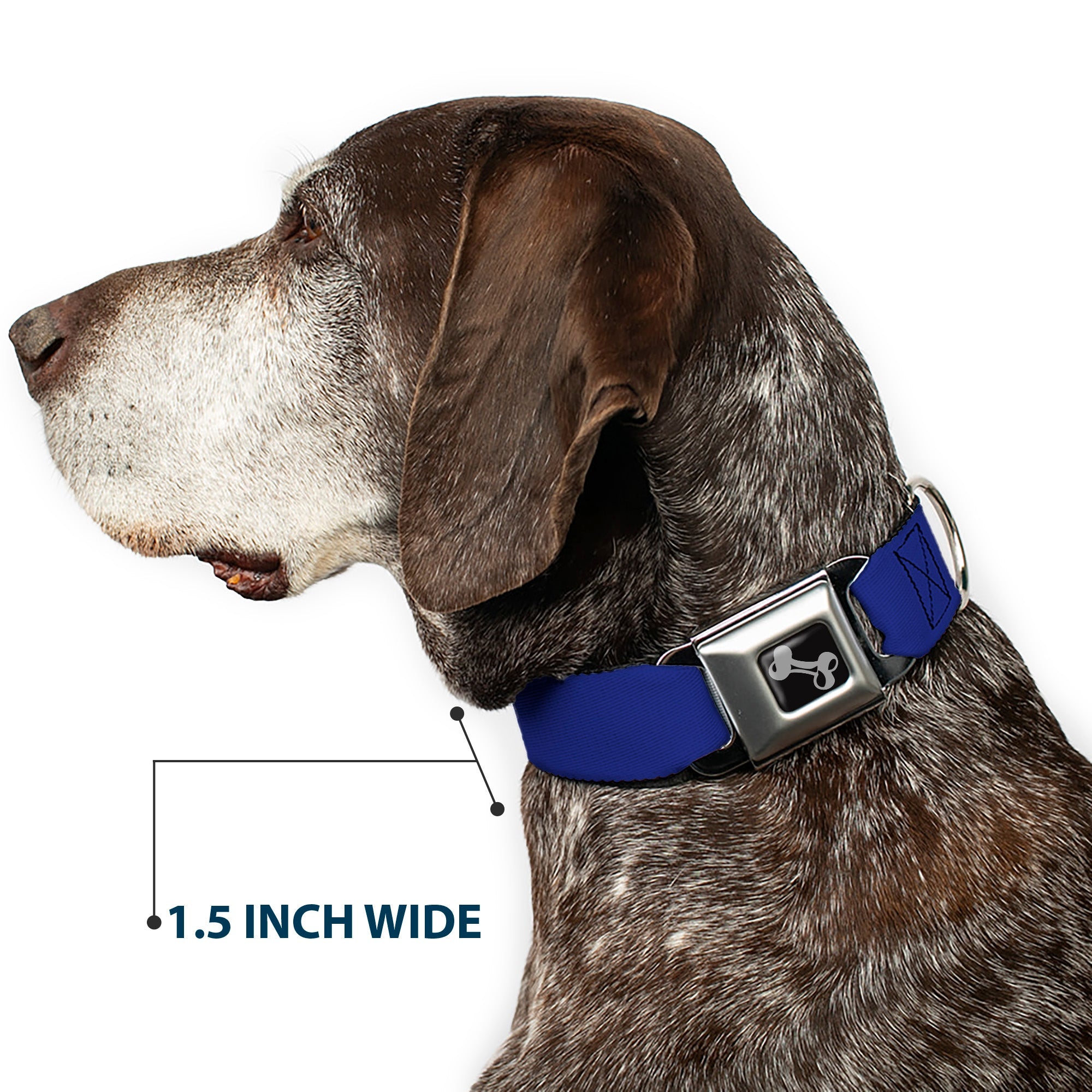 Dog Bone Seatbelt Buckle Collar - Royal
