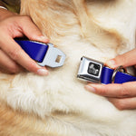 Dog Bone Seatbelt Buckle Collar - Royal