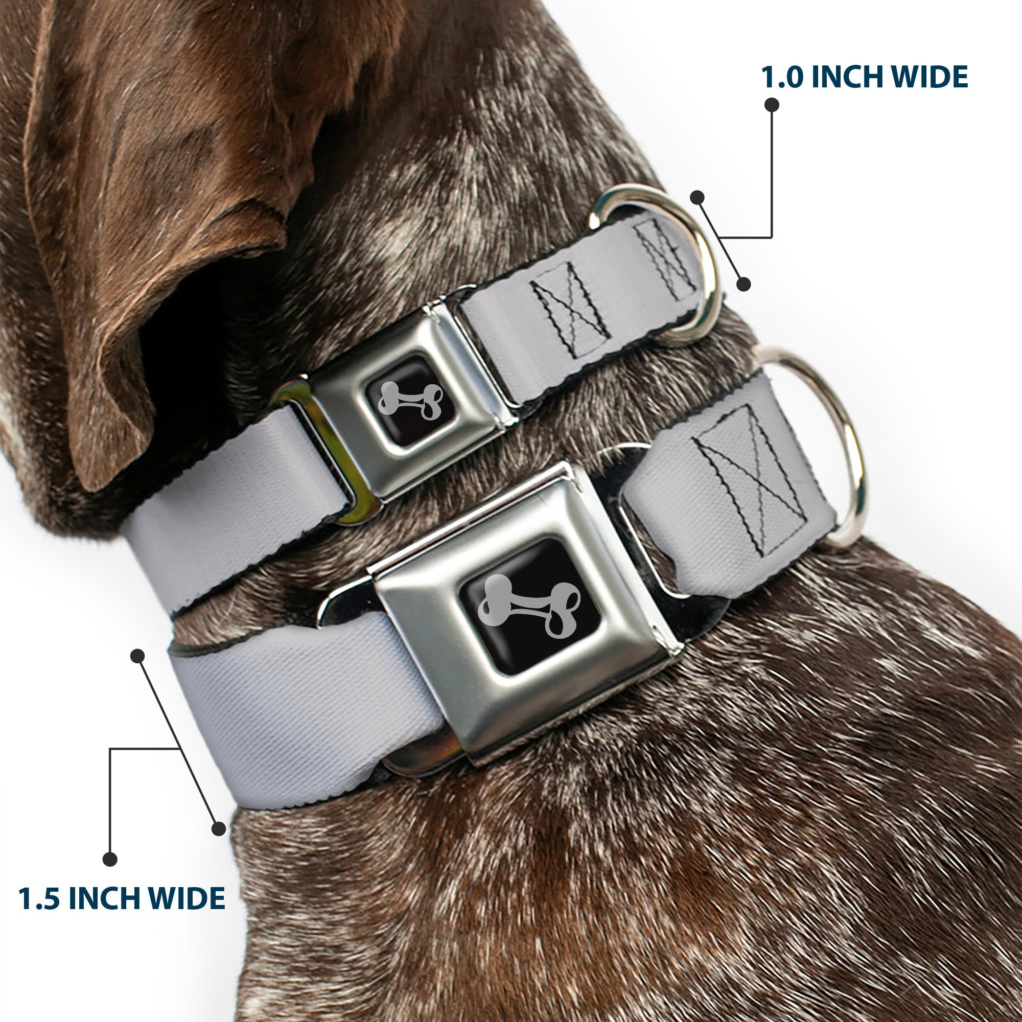 Dog Bone Seatbelt Buckle Collar - Silver