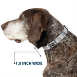 Dog Bone Seatbelt Buckle Collar - Silver