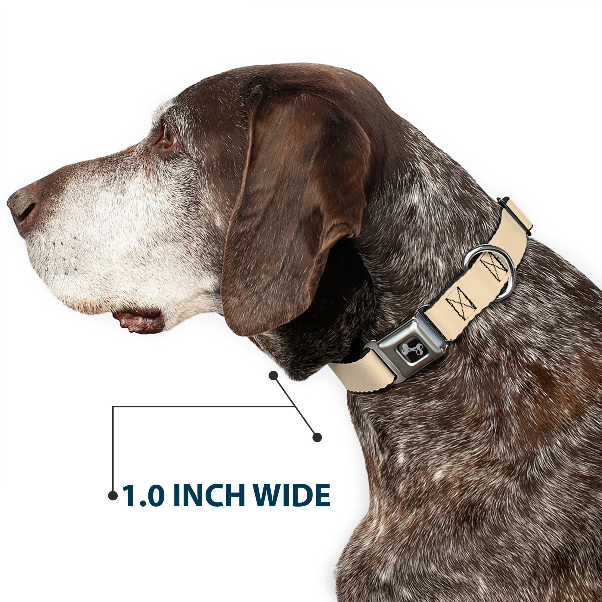 Dog Bone Seatbelt Buckle Collar - Tan