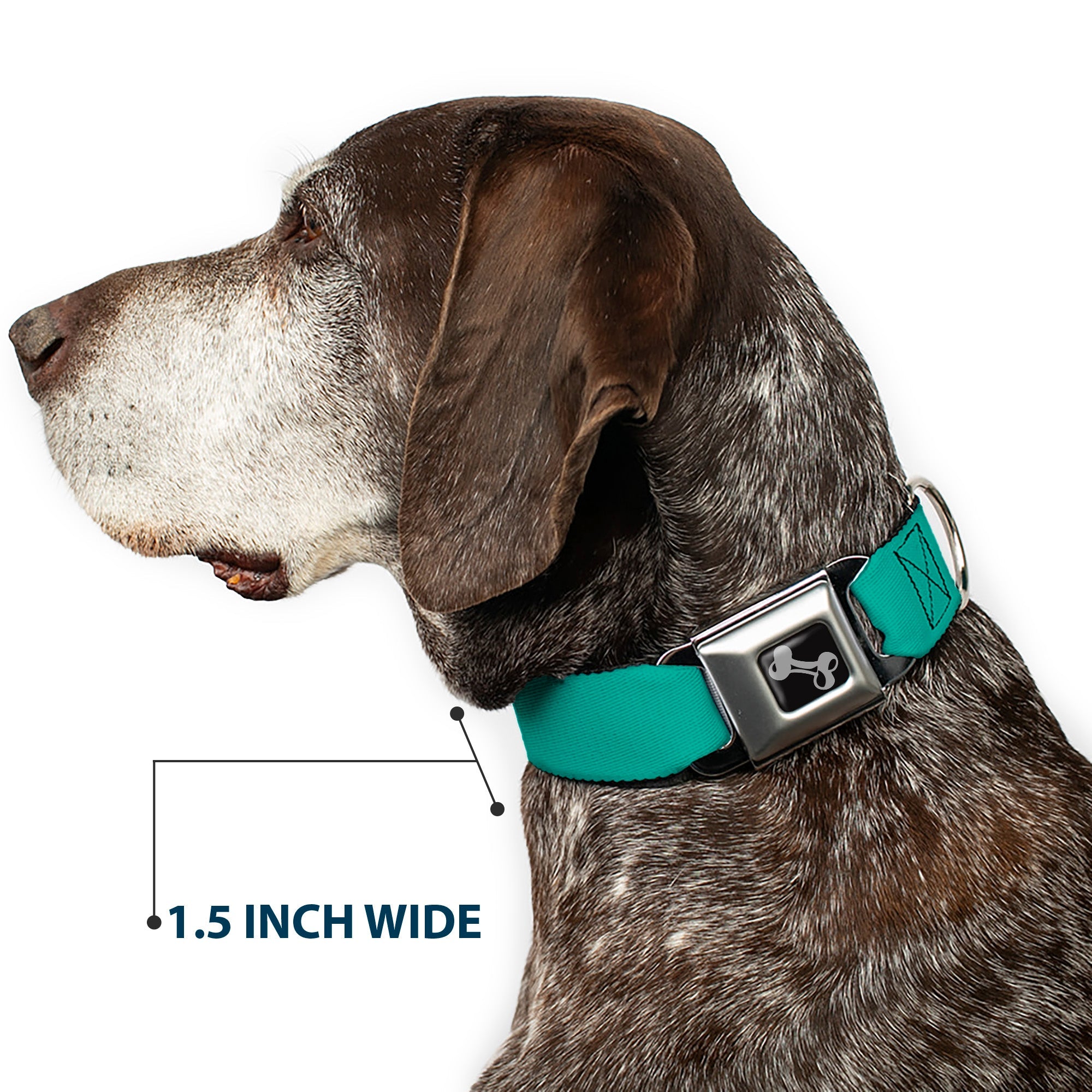 Dog Bone Seatbelt Buckle Collar - Teal