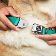 Dog Bone Seatbelt Buckle Collar - Teal