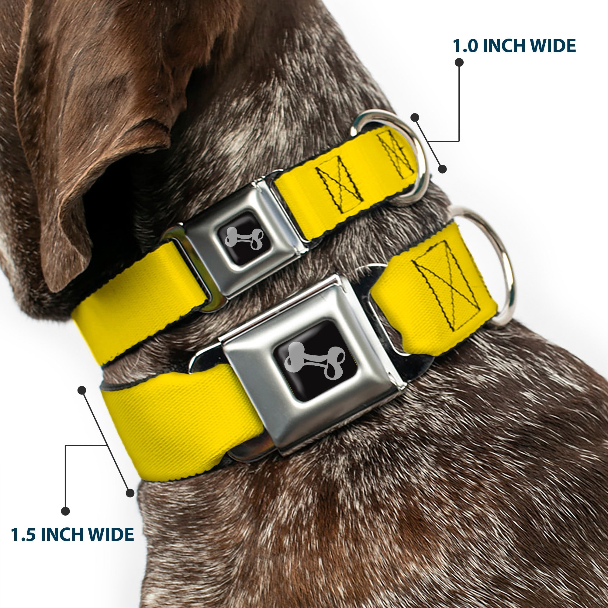 Dog Bone Seatbelt Buckle Collar - Yellow