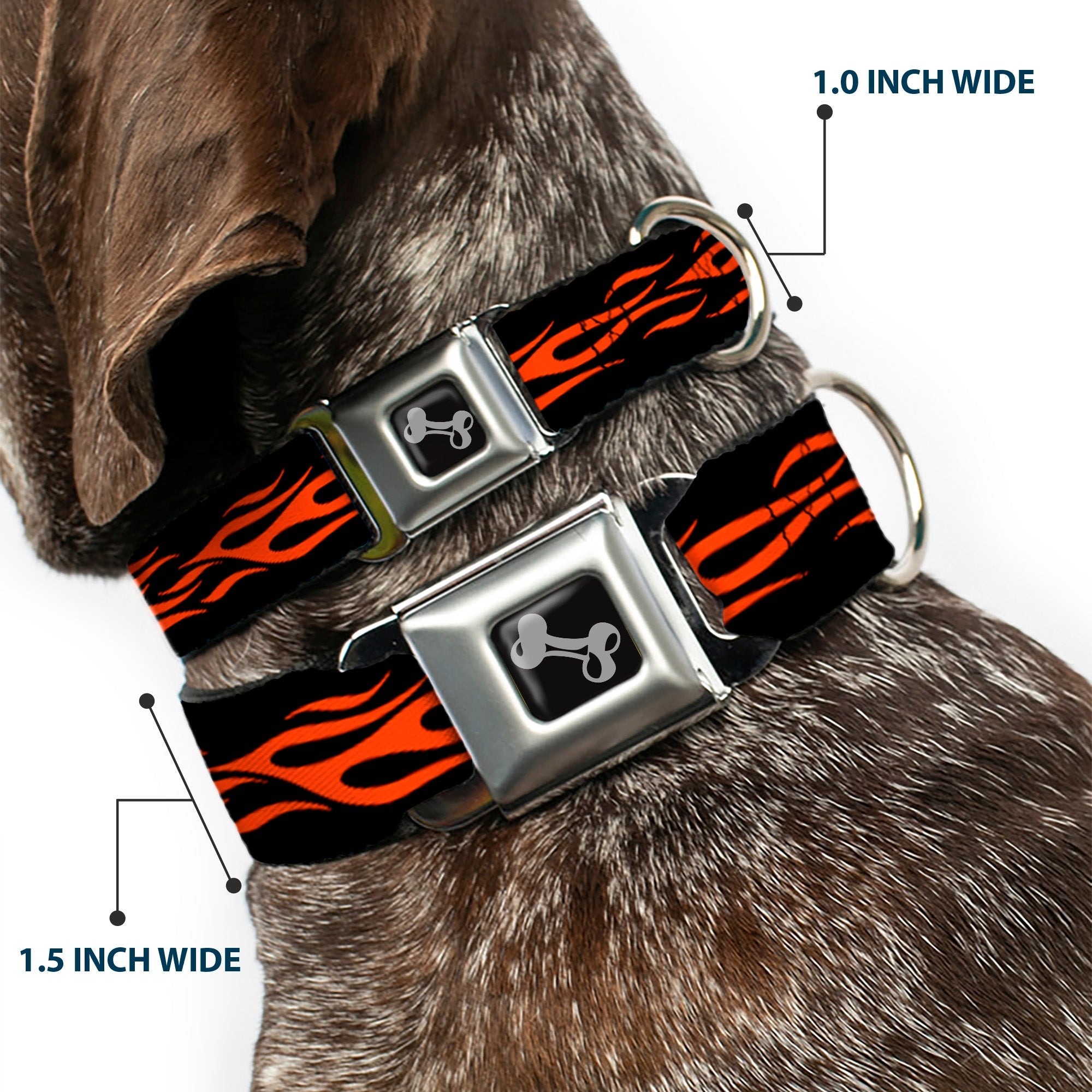 Dog Bone Seatbelt Buckle Collar - Flame Orange