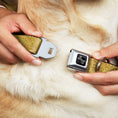Load image into Gallery viewer, Dog Bone Black/Silver Seatbelt Buckle Collar - Metallic Gold
