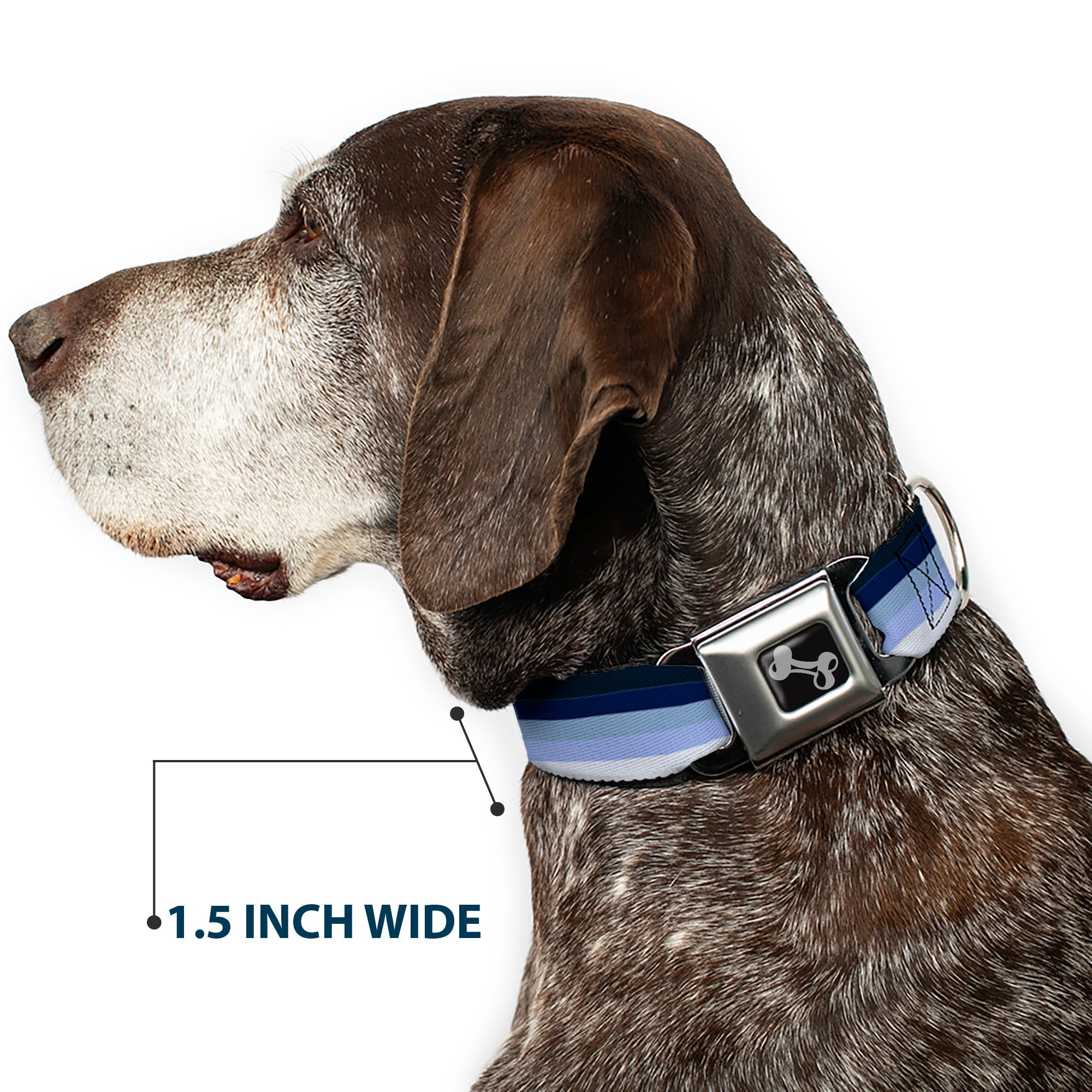 Dog Bone Seatbelt Buckle Collar - Spectrum Blue