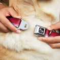 Load image into Gallery viewer, Dog Bone Seatbelt Buckle Collar - Spectrum Pink
