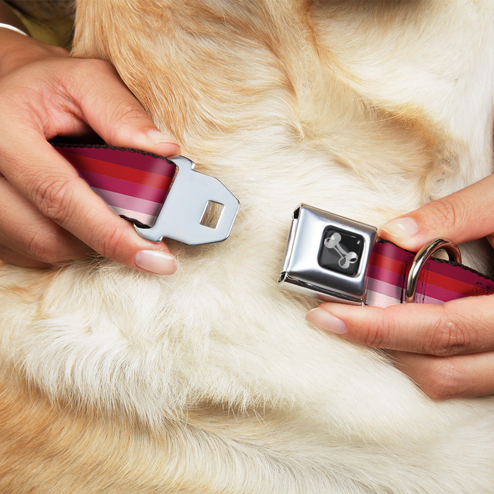 Dog Bone Seatbelt Buckle Collar - Spectrum Pink