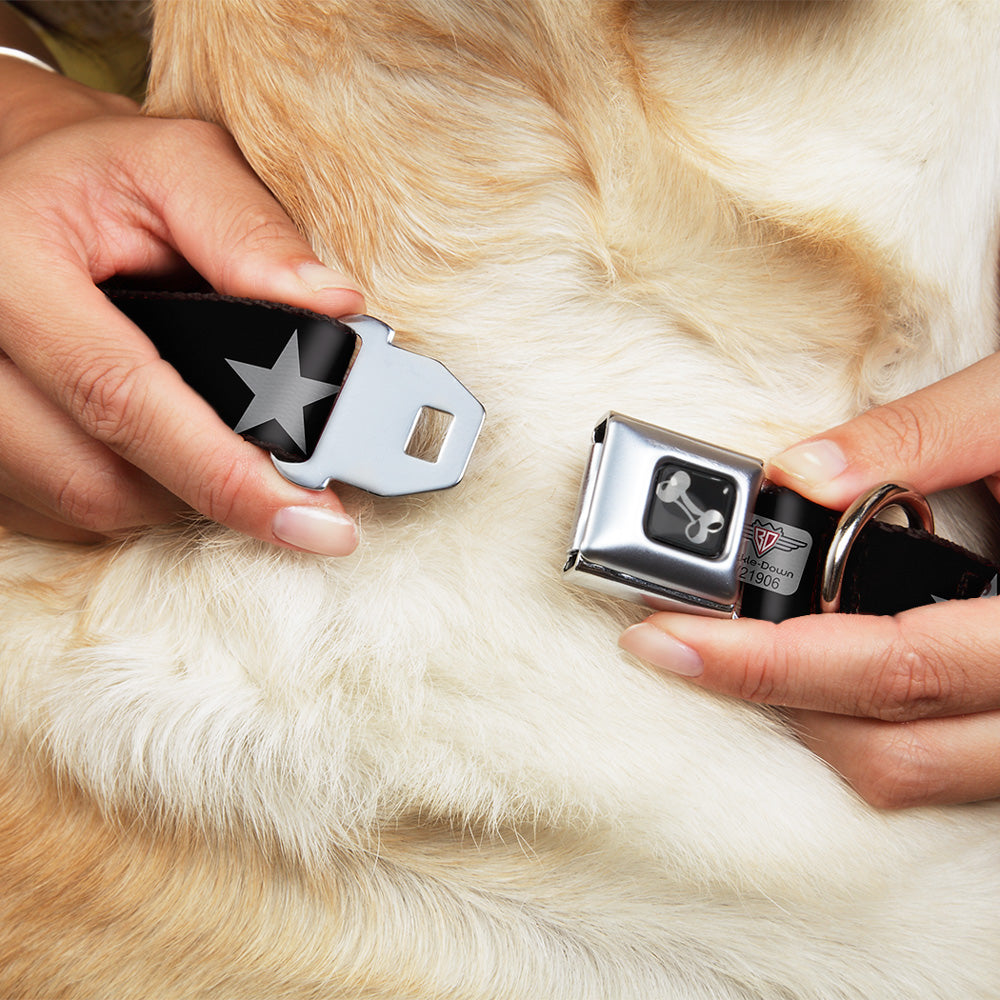 Dog Bone Seatbelt Buckle Collar - Star Black/Silver