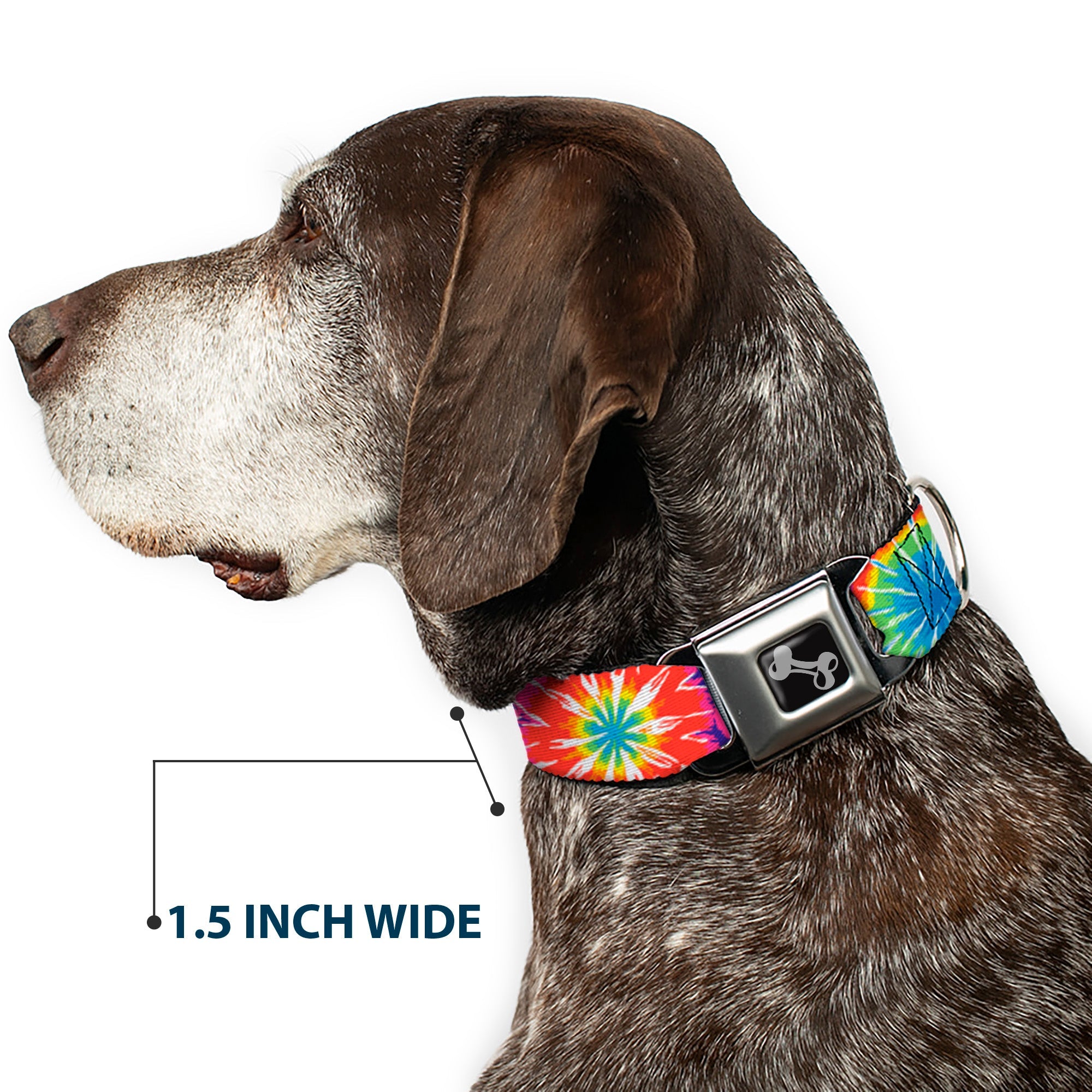 Dog Bone Seatbelt Buckle Collar - 70's Tie Dye