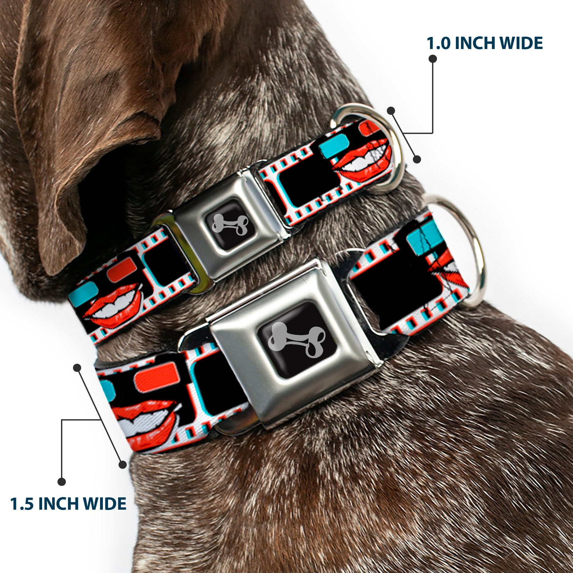 Dog Bone Seatbelt Buckle Collar - 3-D Filmstrip