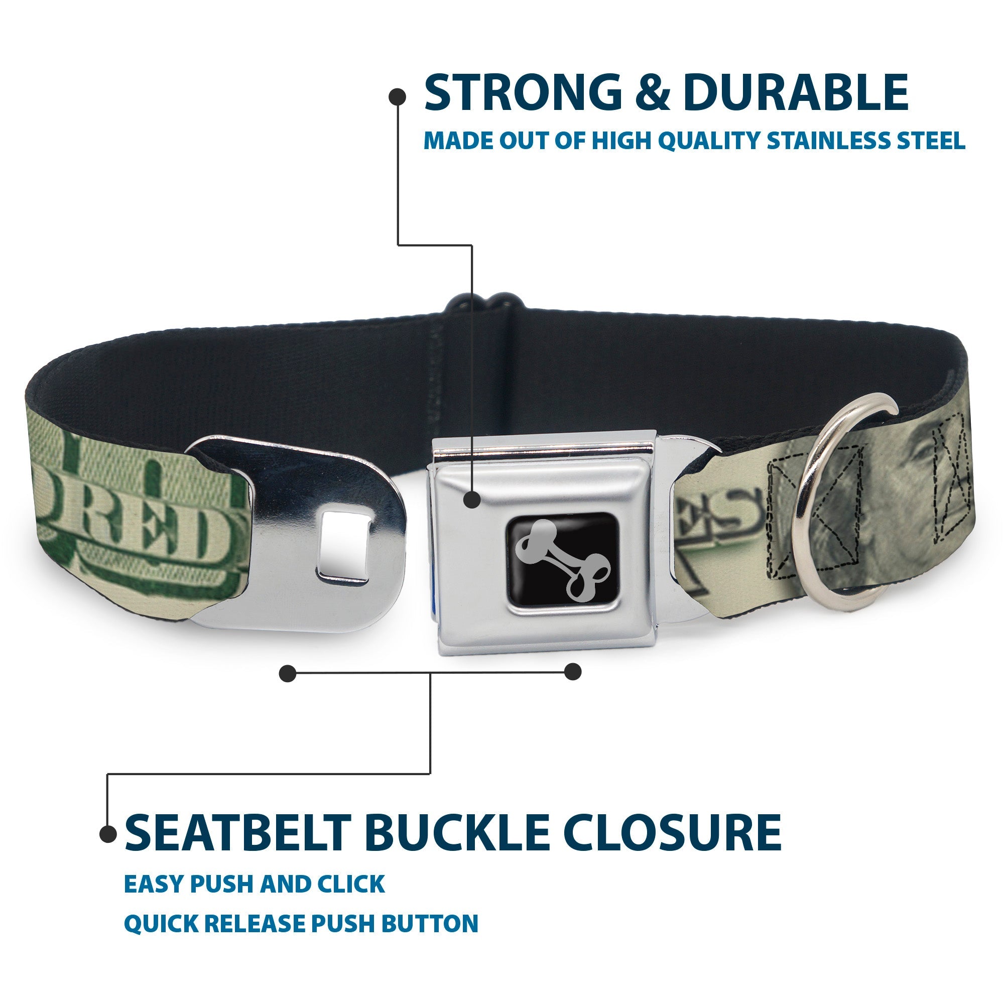 Dog Bone Seatbelt Buckle Collar - 100 Dollar Bill CLOSE-UP/Triple Benjamin