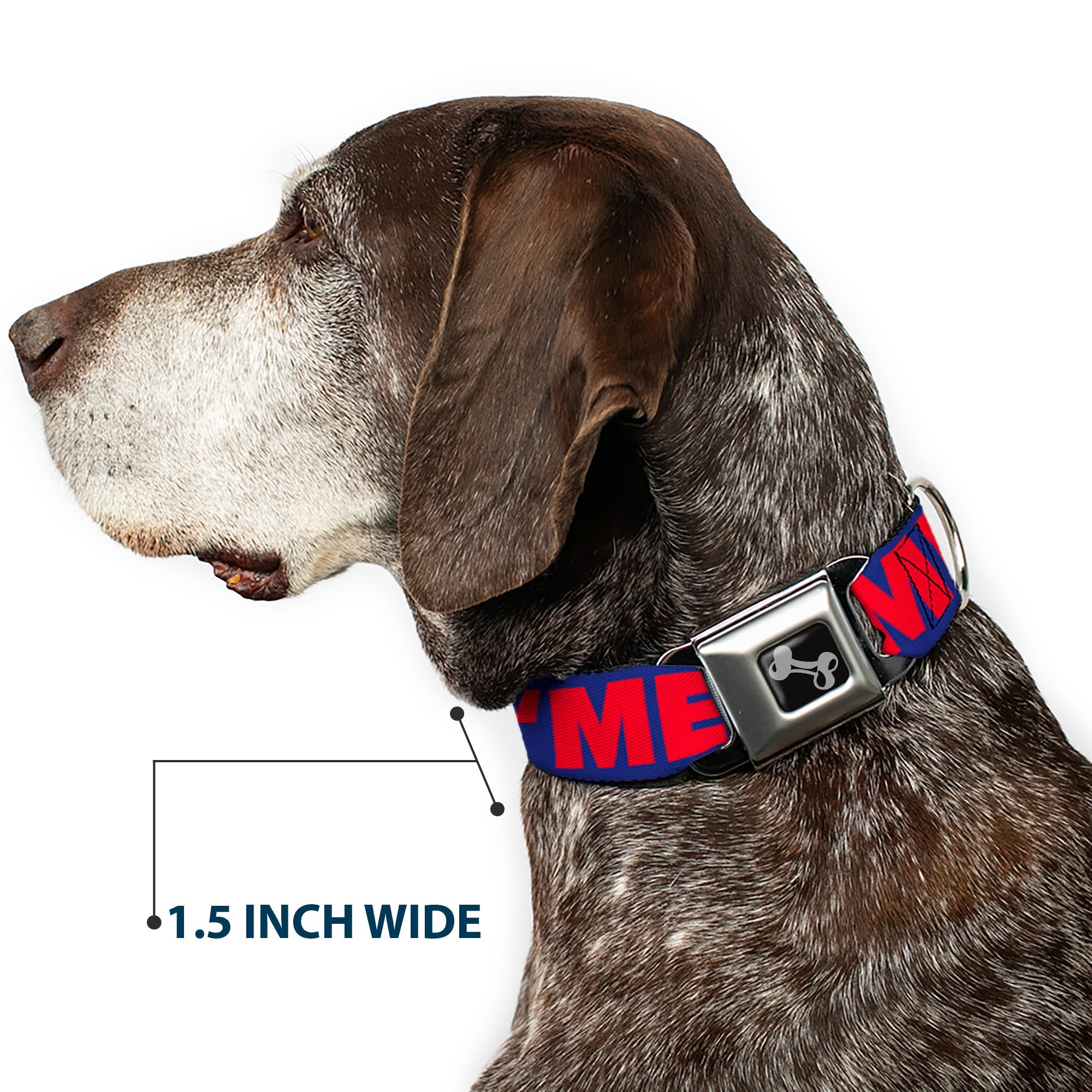 Dog Bone Seatbelt Buckle Collar - 'MERICA/Star Blue/Red/White