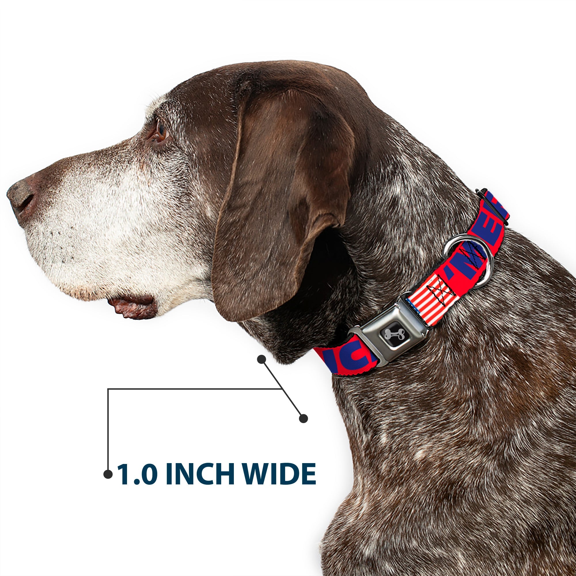 Dog Bone Seatbelt Buckle Collar - 'MERICA/US Flag Red/Blue/White
