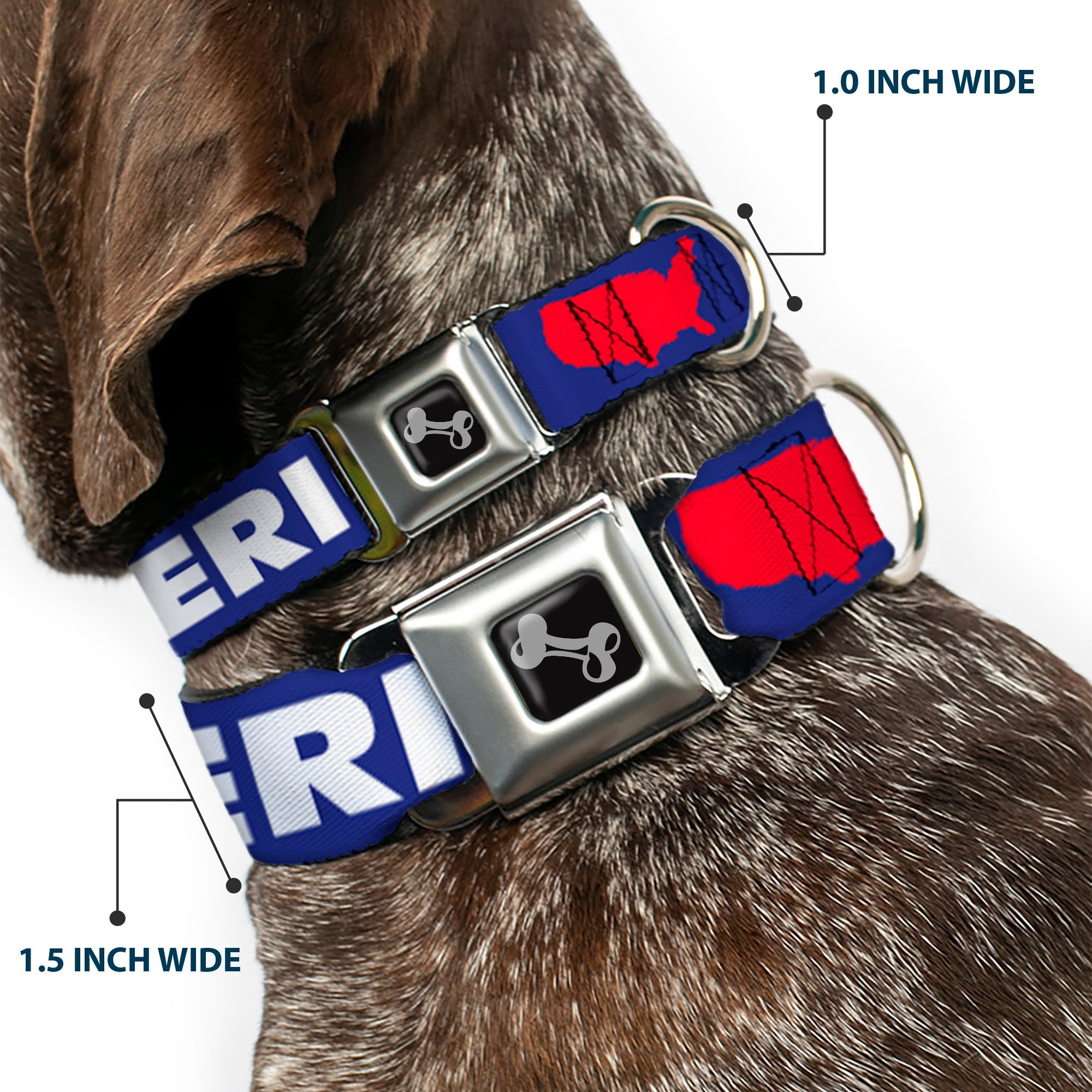 Dog Bone Seatbelt Buckle Collar - 'MERICA/USA Silhouette Blue/White/Red