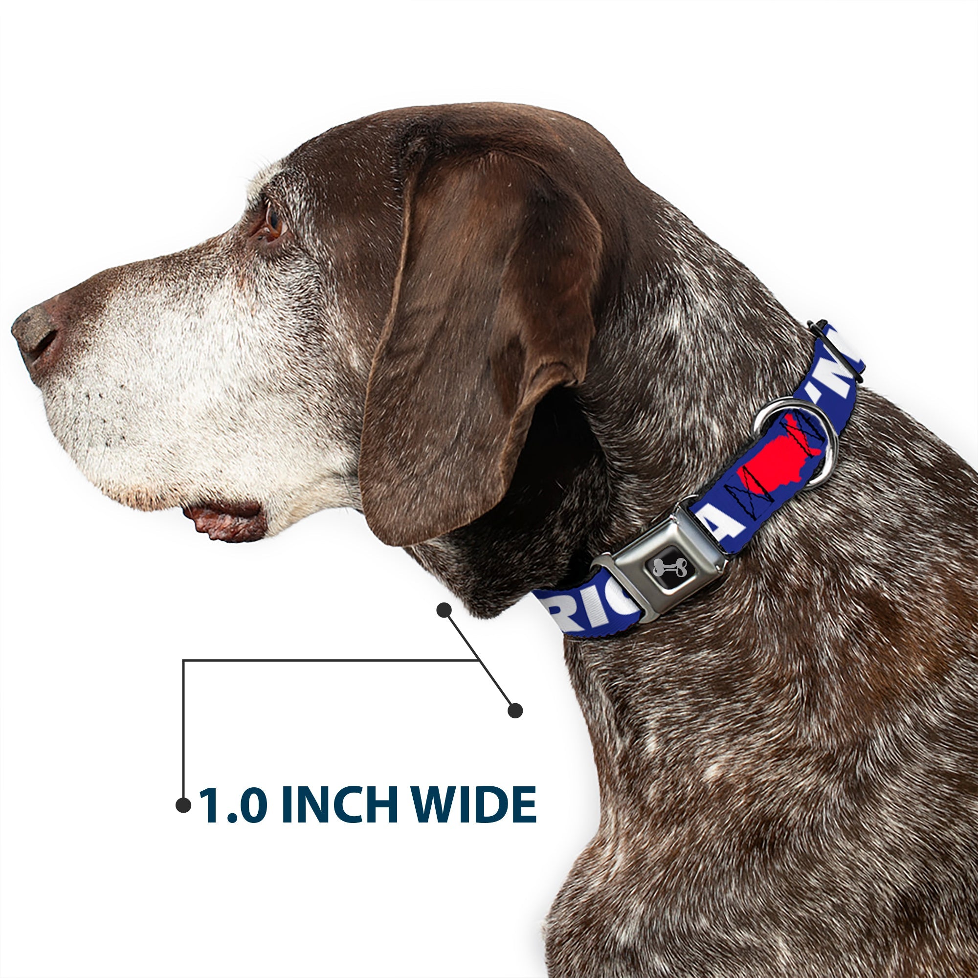 Dog Bone Seatbelt Buckle Collar - 'MERICA/USA Silhouette Blue/White/Red