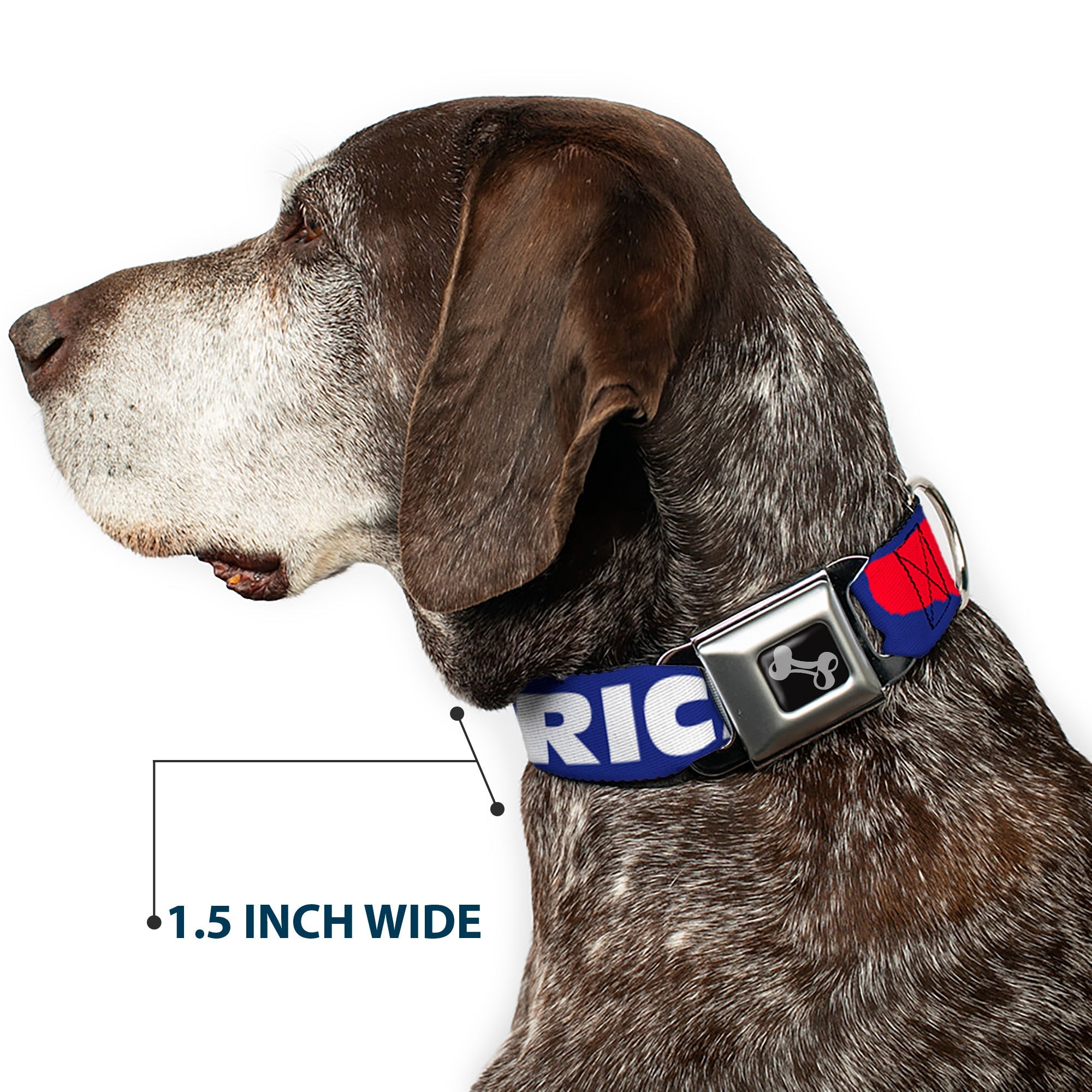 Dog Bone Seatbelt Buckle Collar - 'MERICA/USA Silhouette Blue/White/Red