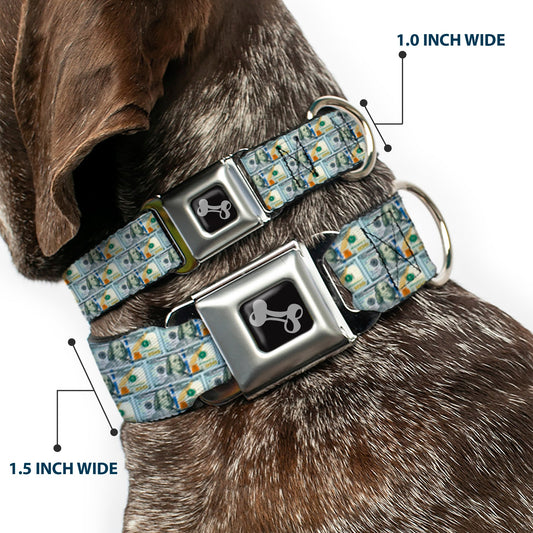 Dog Bone Seatbelt Buckle Collar - 100 Dollar Bill Series 2009 Repeat