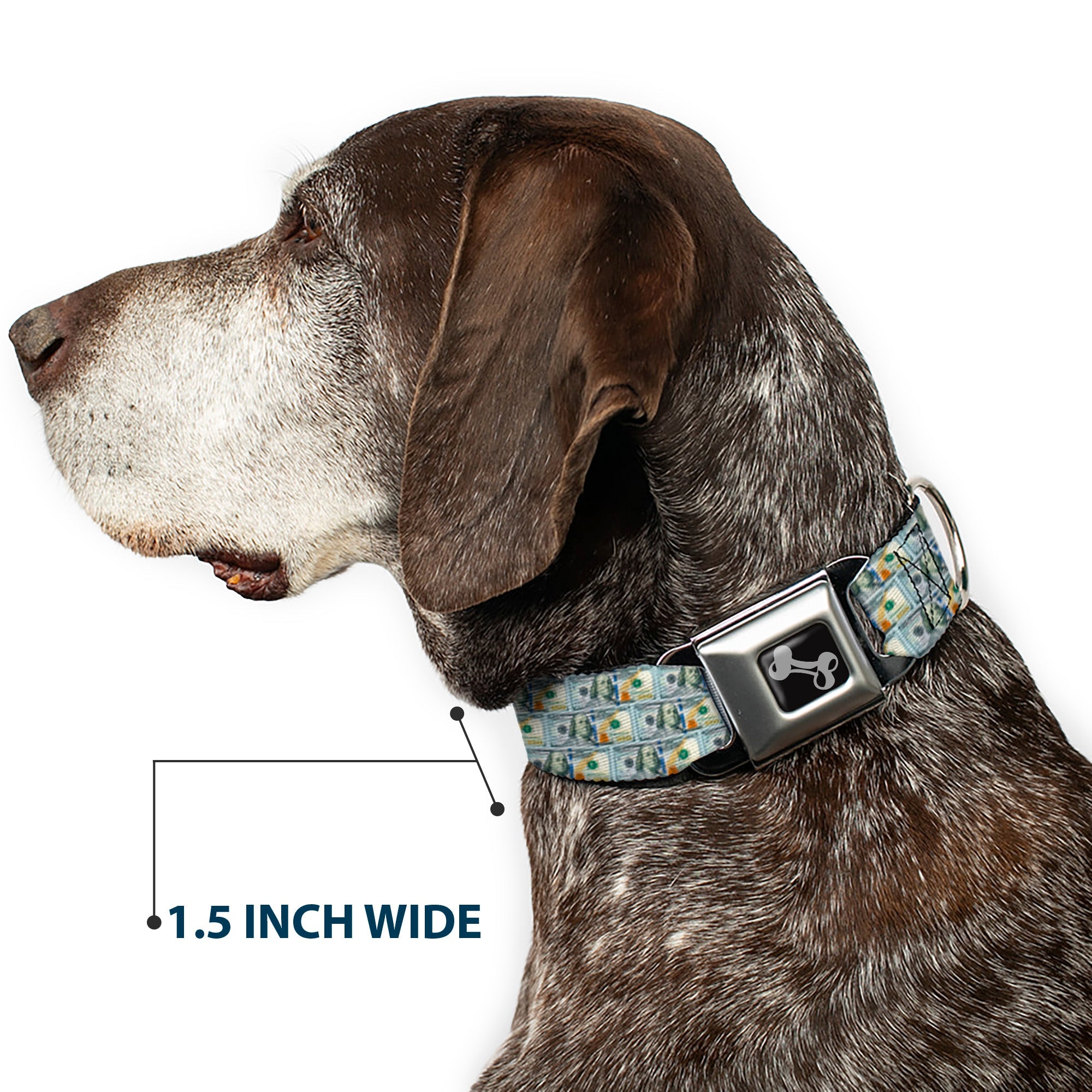 Dog Bone Seatbelt Buckle Collar - 100 Dollar Bill Series 2009 Repeat