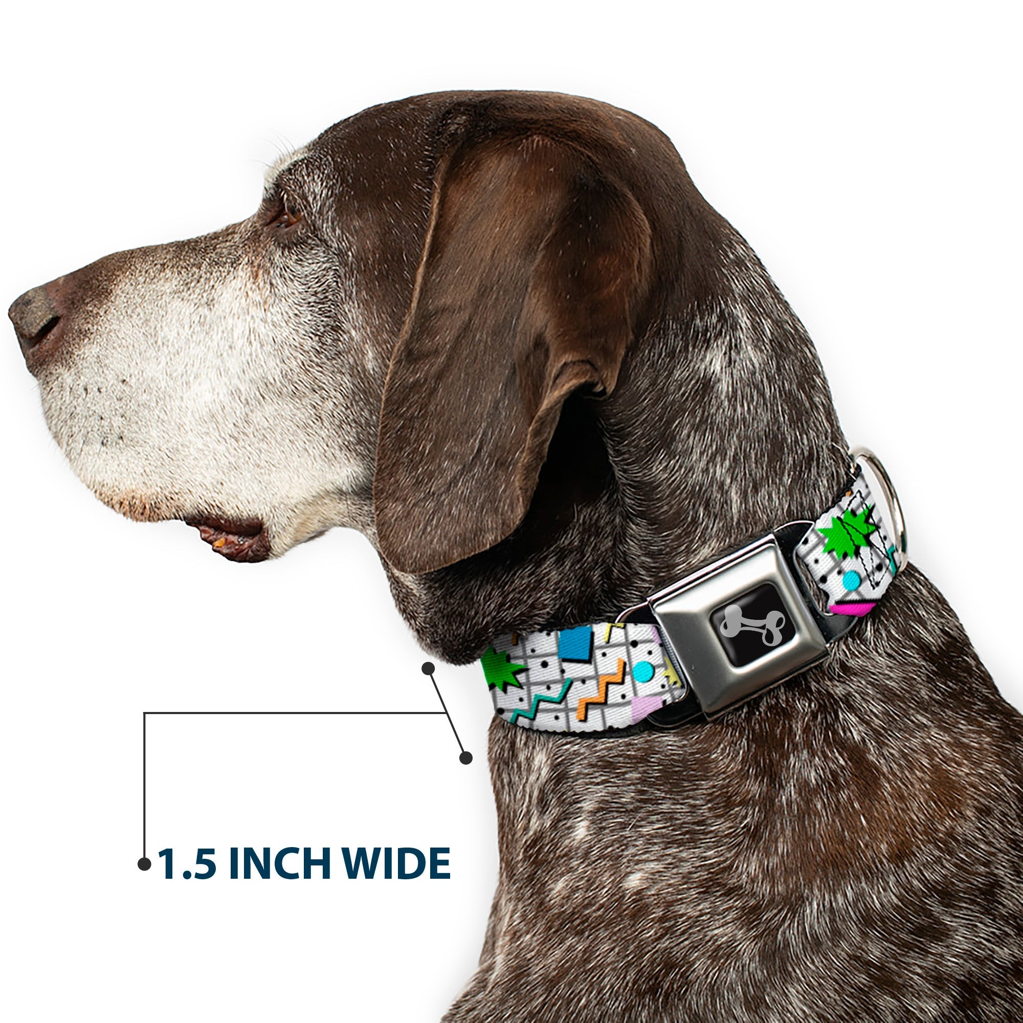 Dog Bone Black/Silver Seatbelt Buckle Collar - 90s Nineties Grid Pattern Vibrant Gray/Multi Color