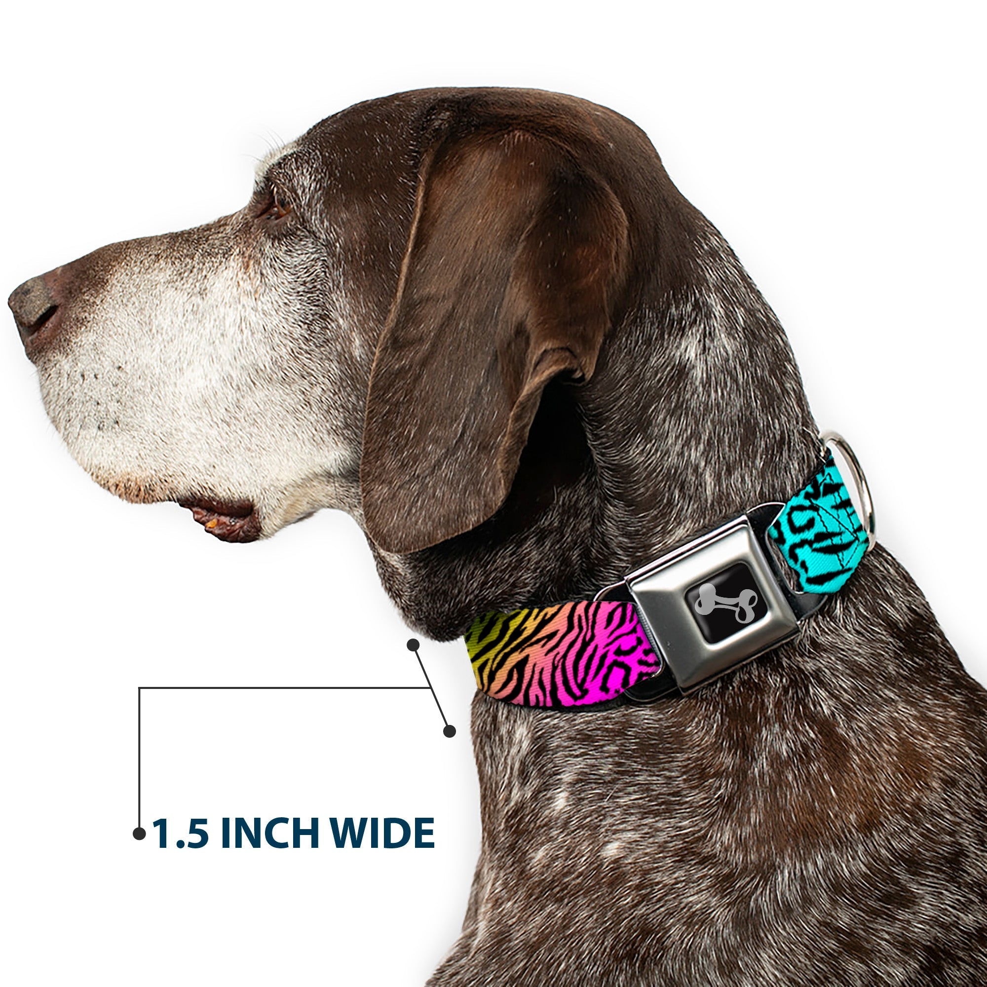 Dog Bone Seatbelt Buckle Collar - Animal Skins Rainbow/Black