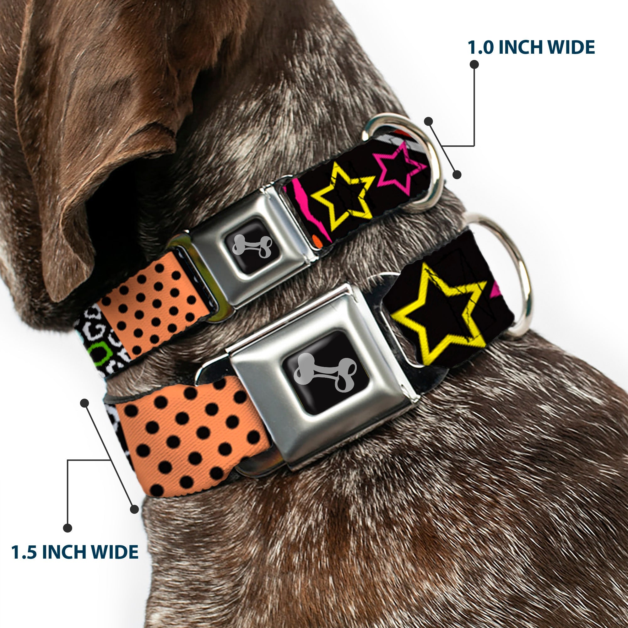 Dog Bone Seatbelt Buckle Collar - Animal Skins & Stripes 1