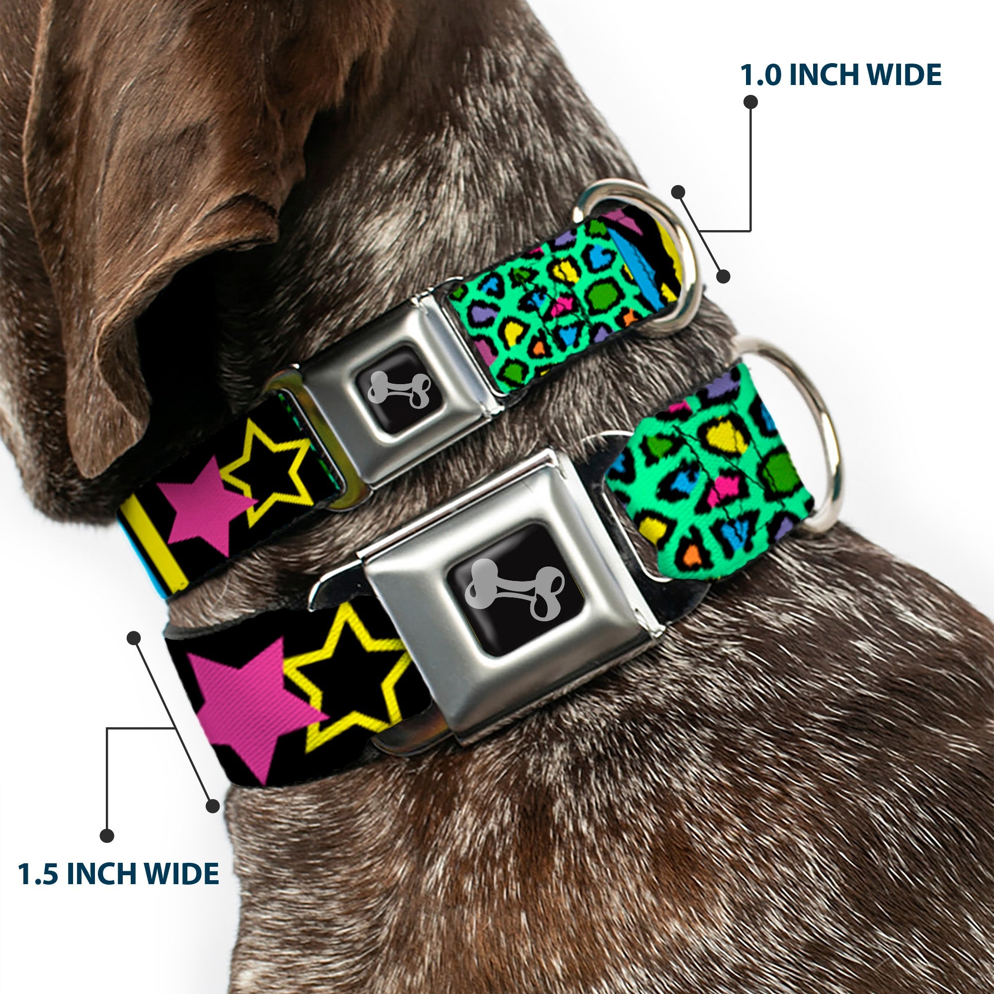 Dog Bone Seatbelt Buckle Collar - Animal Skins & Stripes 2