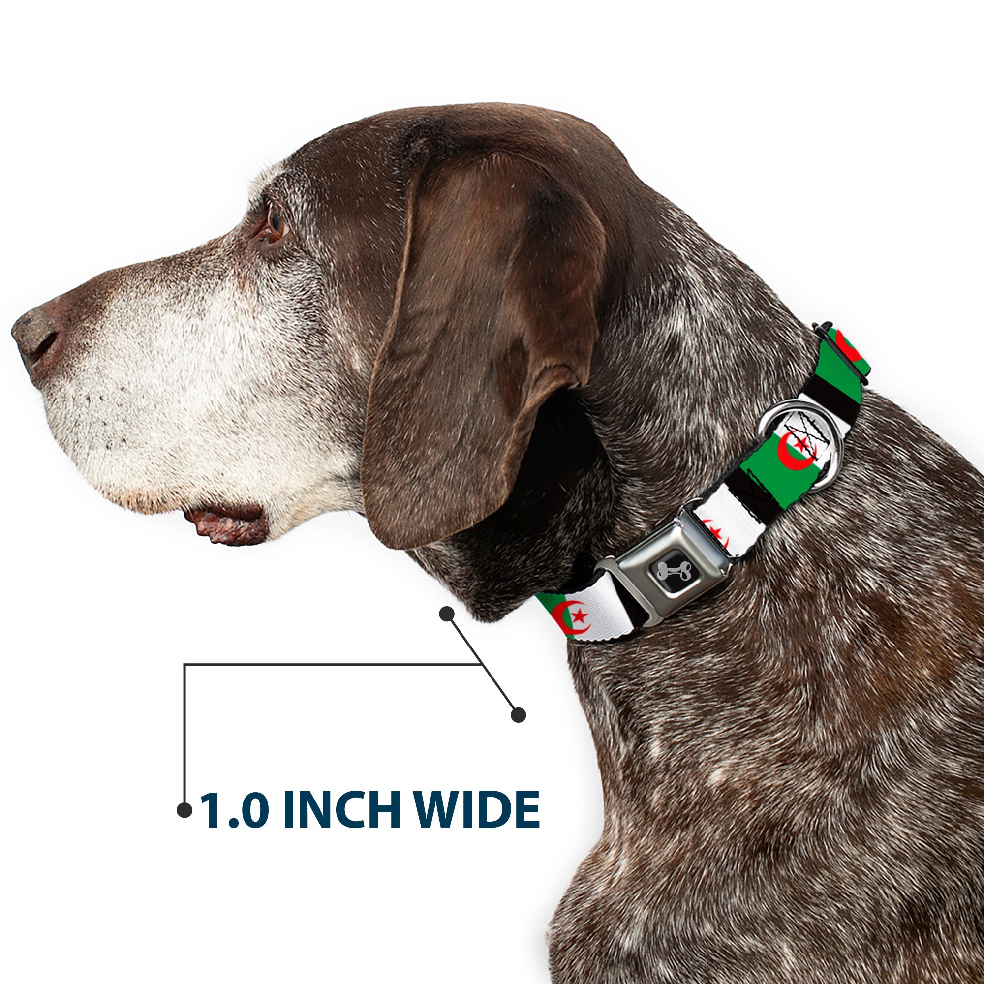 Dog Bone Seatbelt Buckle Collar - Algeria Flags