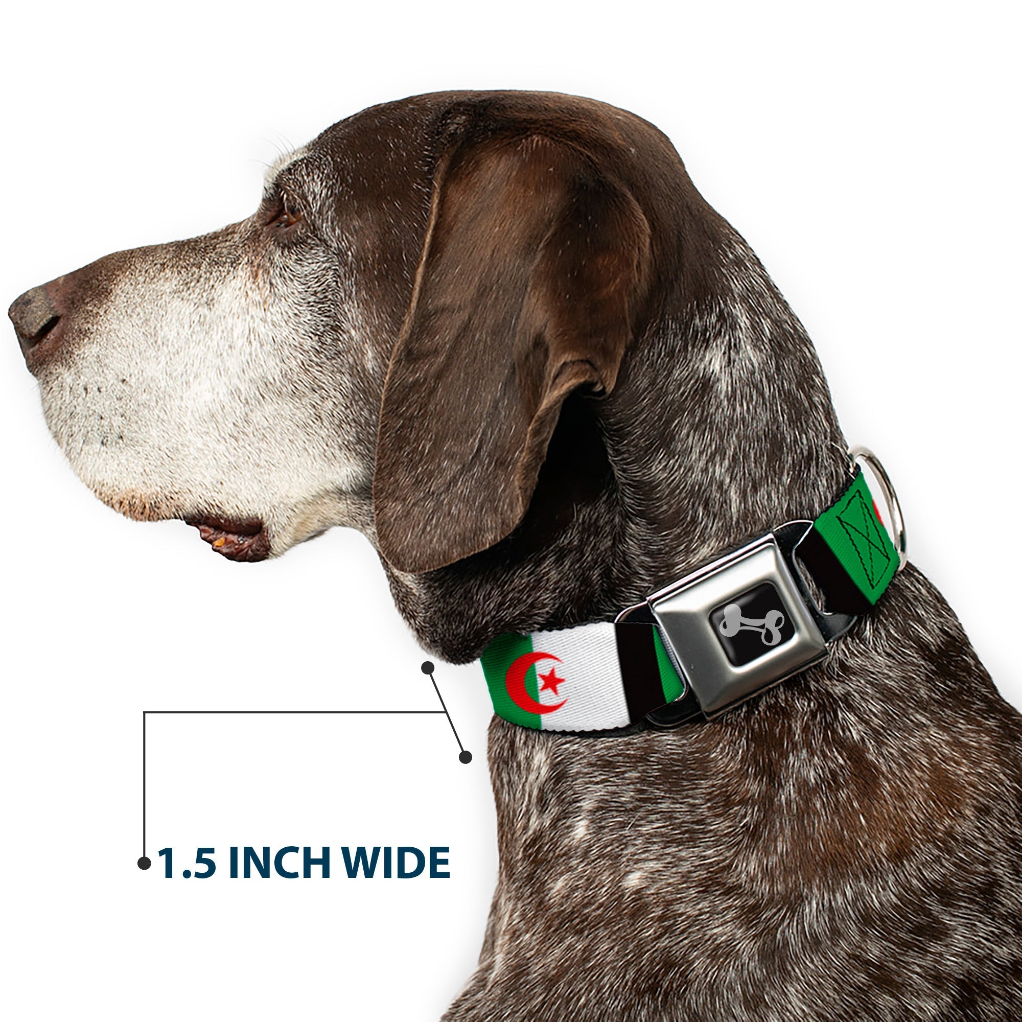 Dog Bone Seatbelt Buckle Collar - Algeria Flags