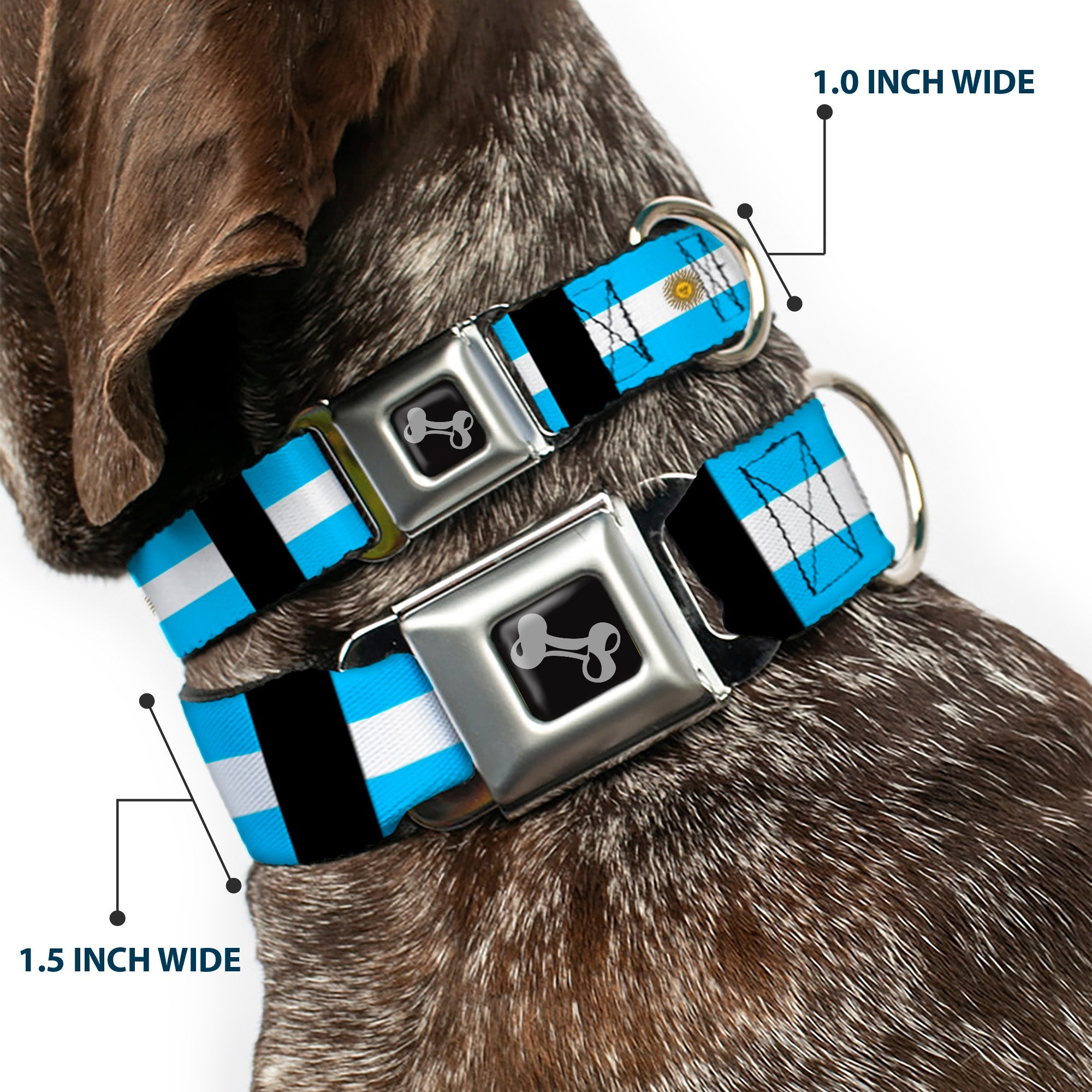 Dog Bone Seatbelt Buckle Collar - Argentina Flags