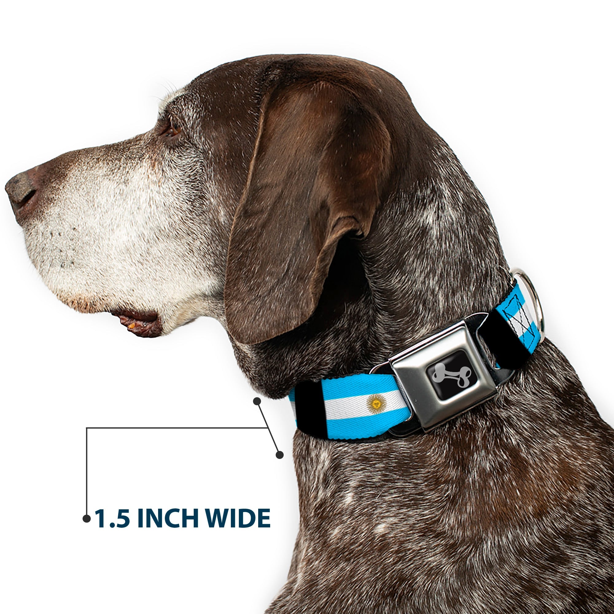 Dog Bone Seatbelt Buckle Collar - Argentina Flags