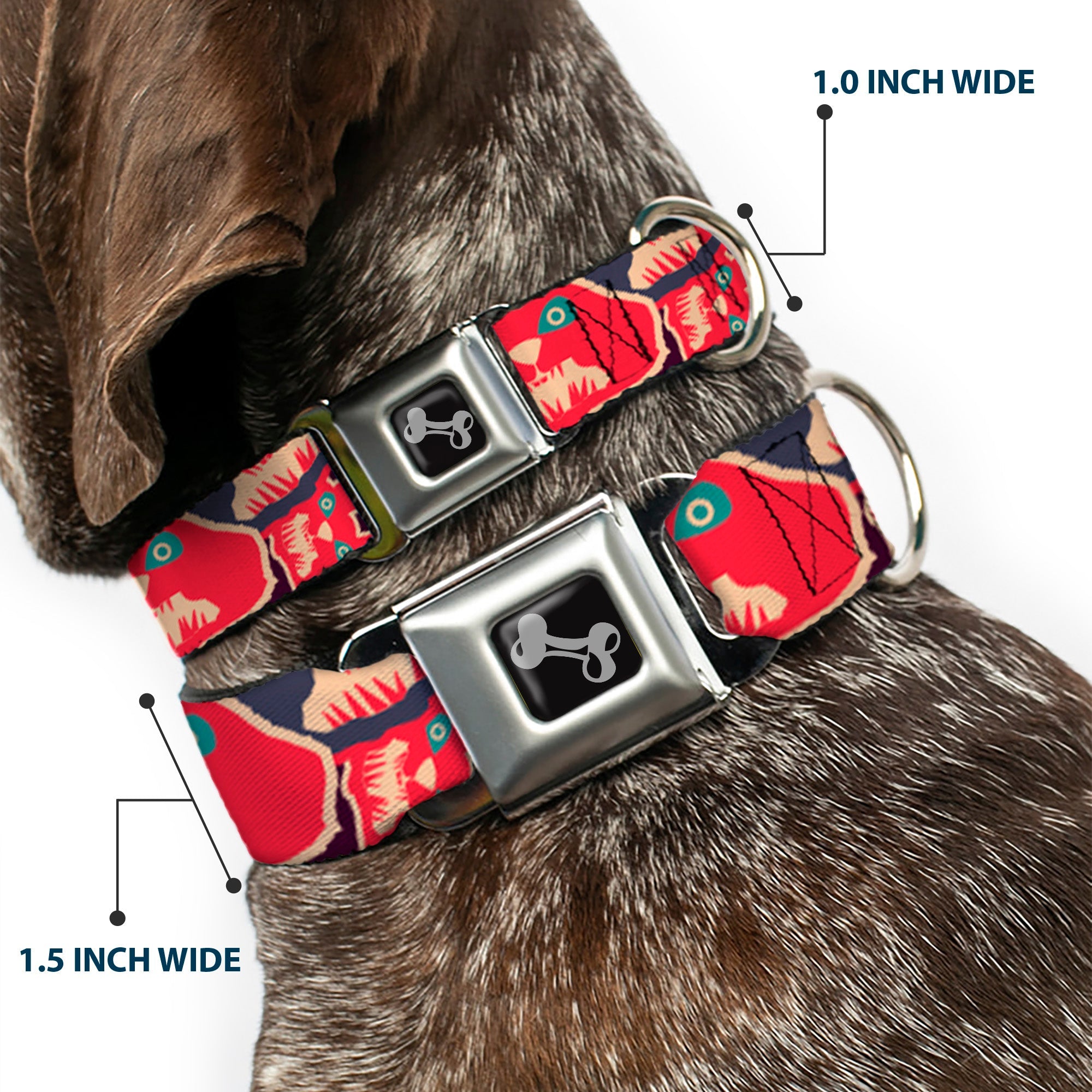 Dog Bone Seatbelt Buckle Collar - Angry Bunnies CLOSE-UP Purple/Red/Blue