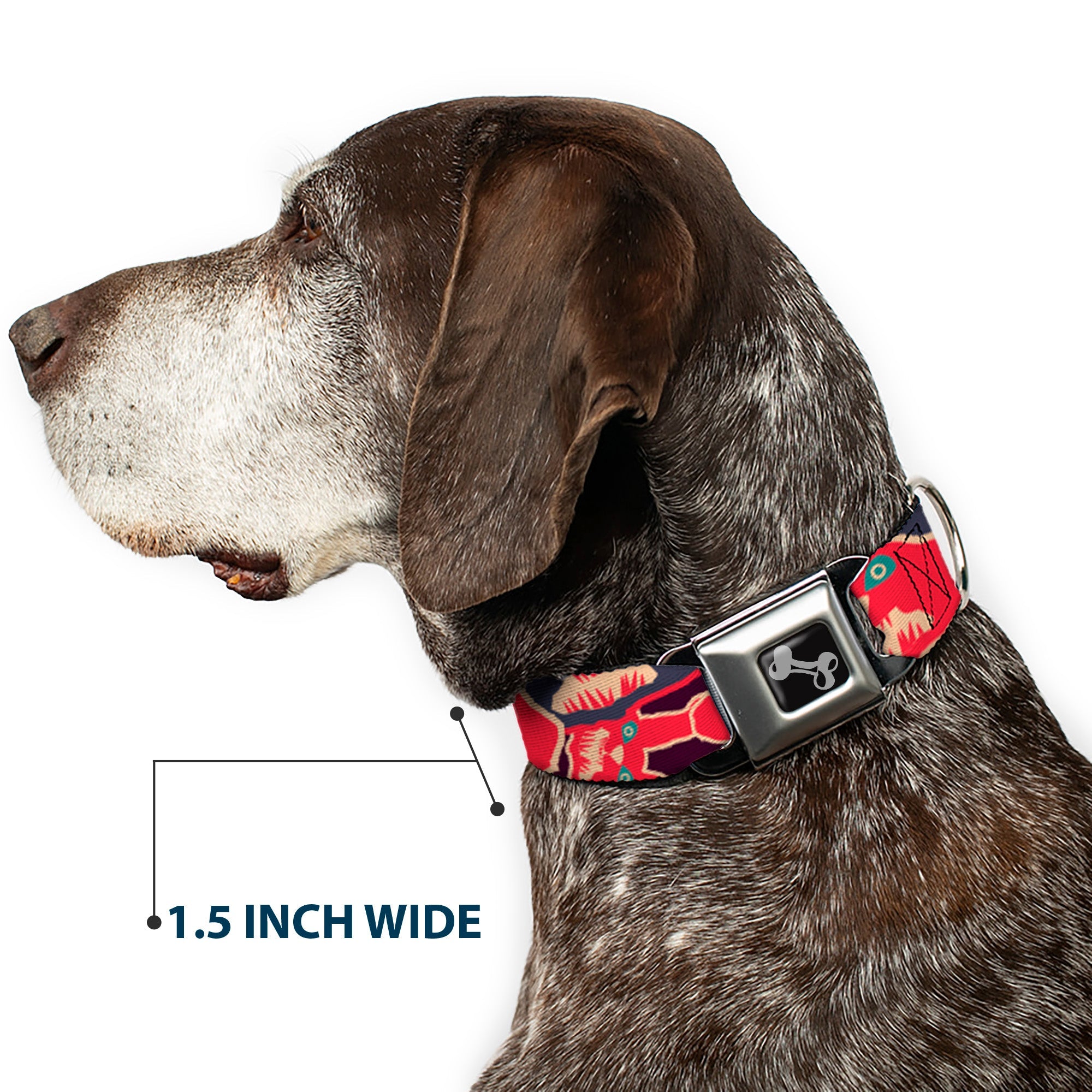 Dog Bone Seatbelt Buckle Collar - Angry Bunnies CLOSE-UP Purple/Red/Blue