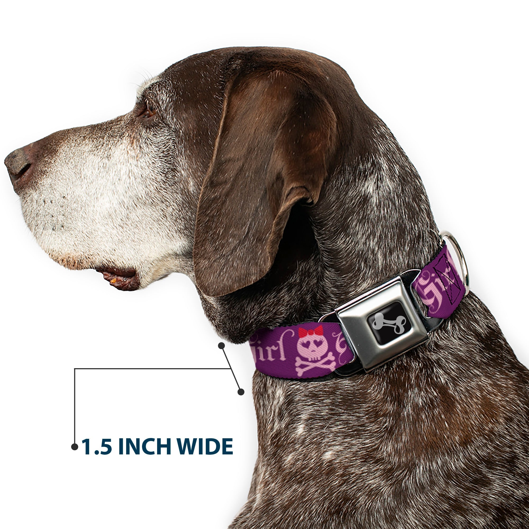 Dog Bone Seatbelt Buckle Collar - Angry Girl Purple/Pink