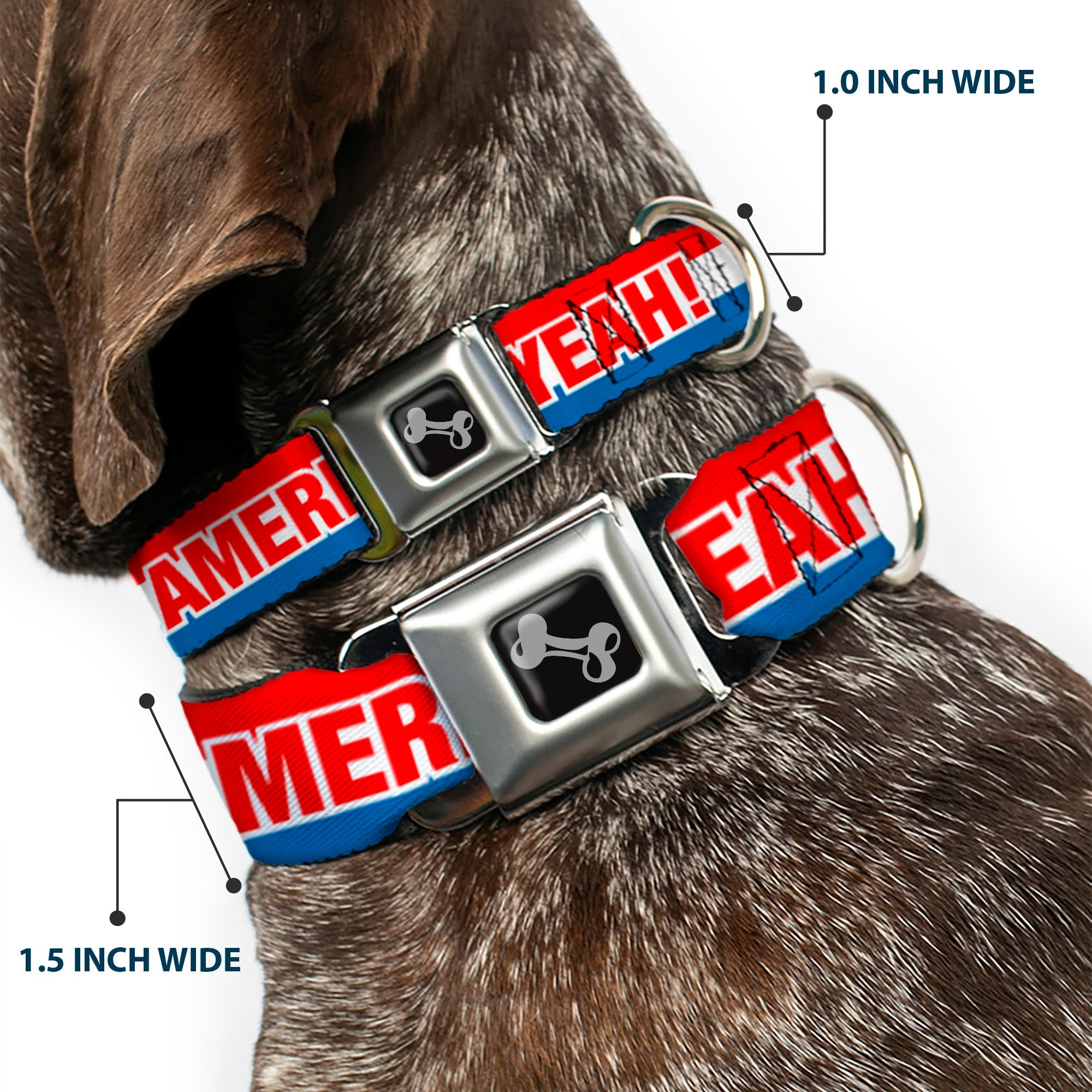 Dog Bone Seatbelt Buckle Collar - AMERICA, FUCK YEA Red/White/Blue