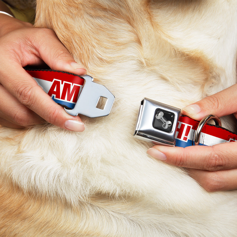 Dog Bone Seatbelt Buckle Collar - AMERICA, FUCK YEA Red/White/Blue