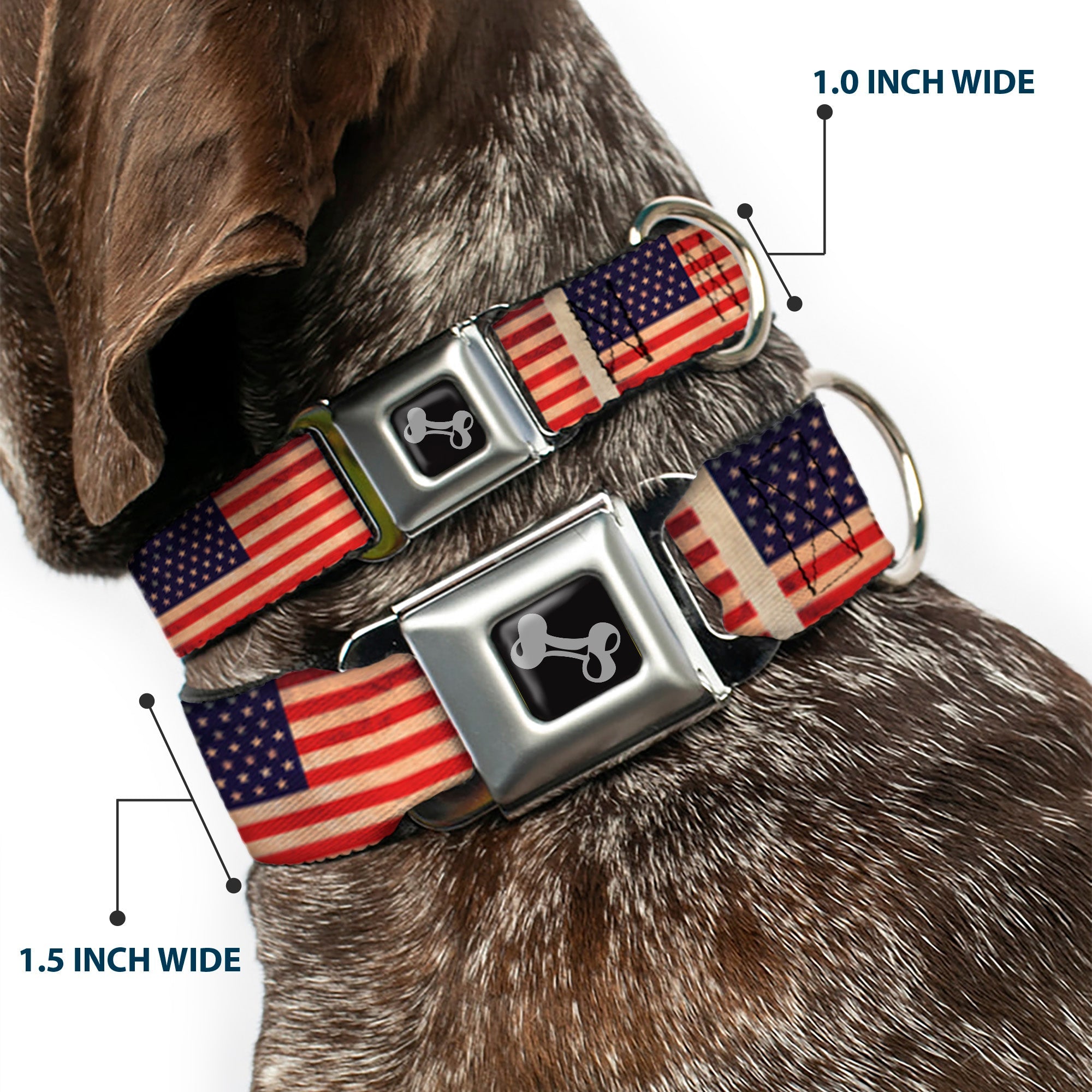 Dog Bone Seatbelt Buckle Collar - American Flag Weathered Color Repeat
