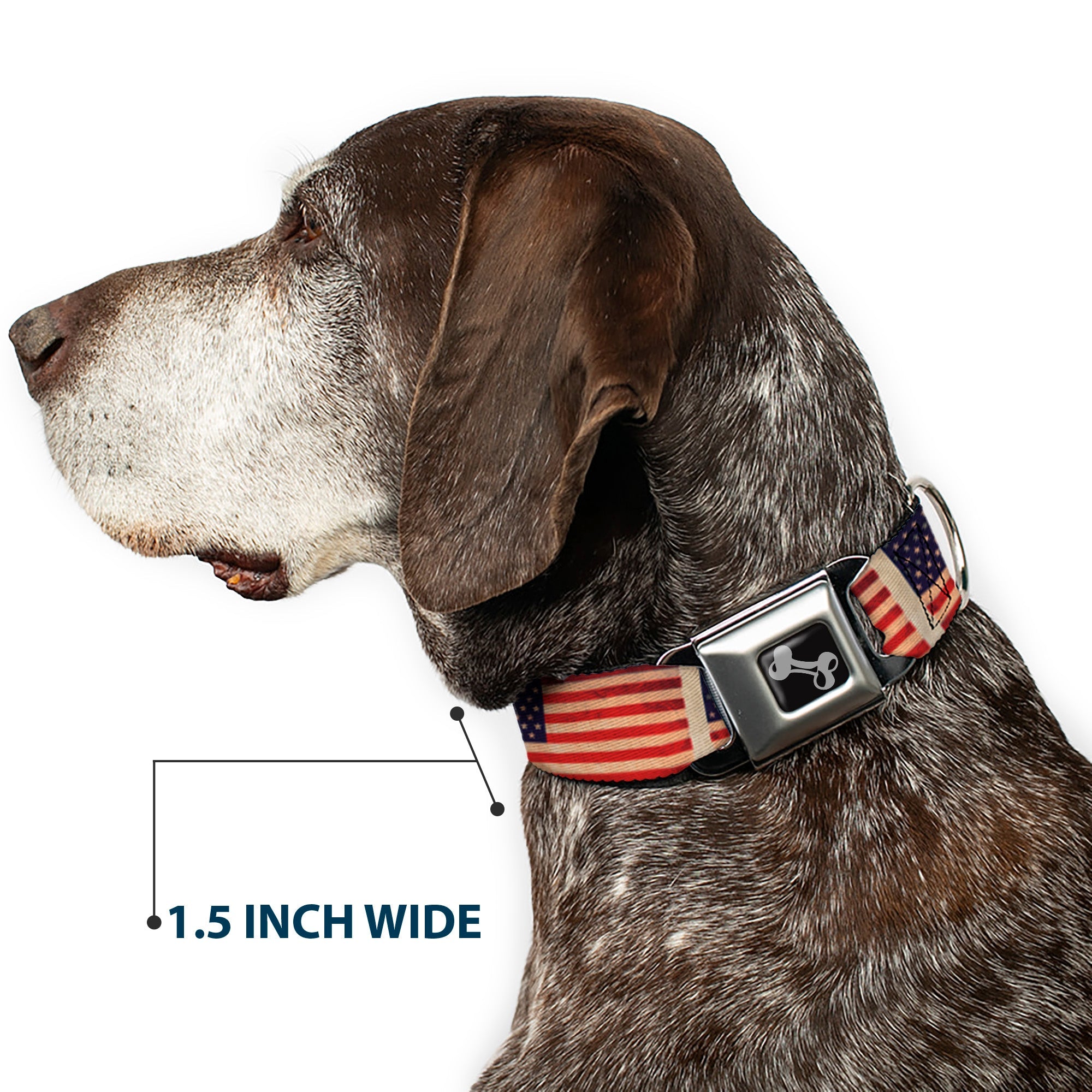 Dog Bone Seatbelt Buckle Collar - American Flag Weathered Color Repeat