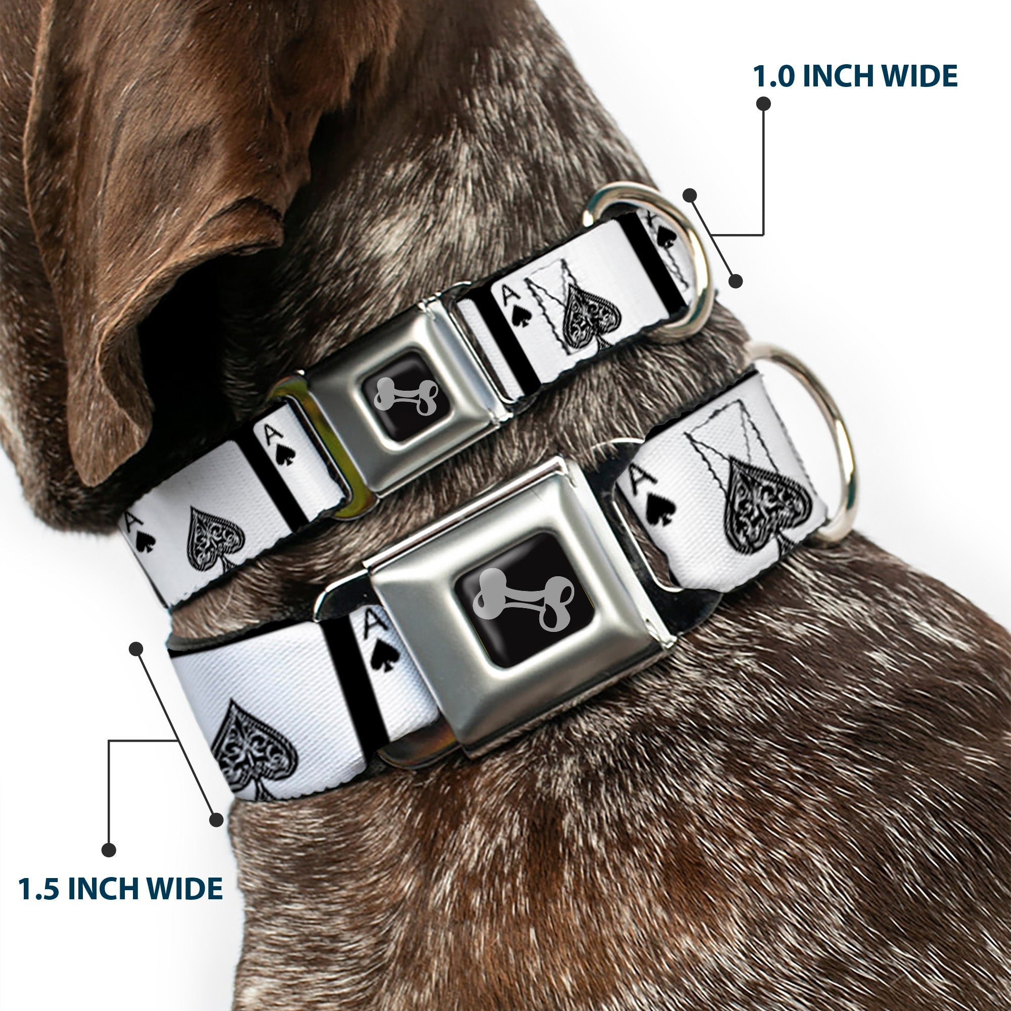 Dog Bone Seatbelt Buckle Collar - Ace of Spades