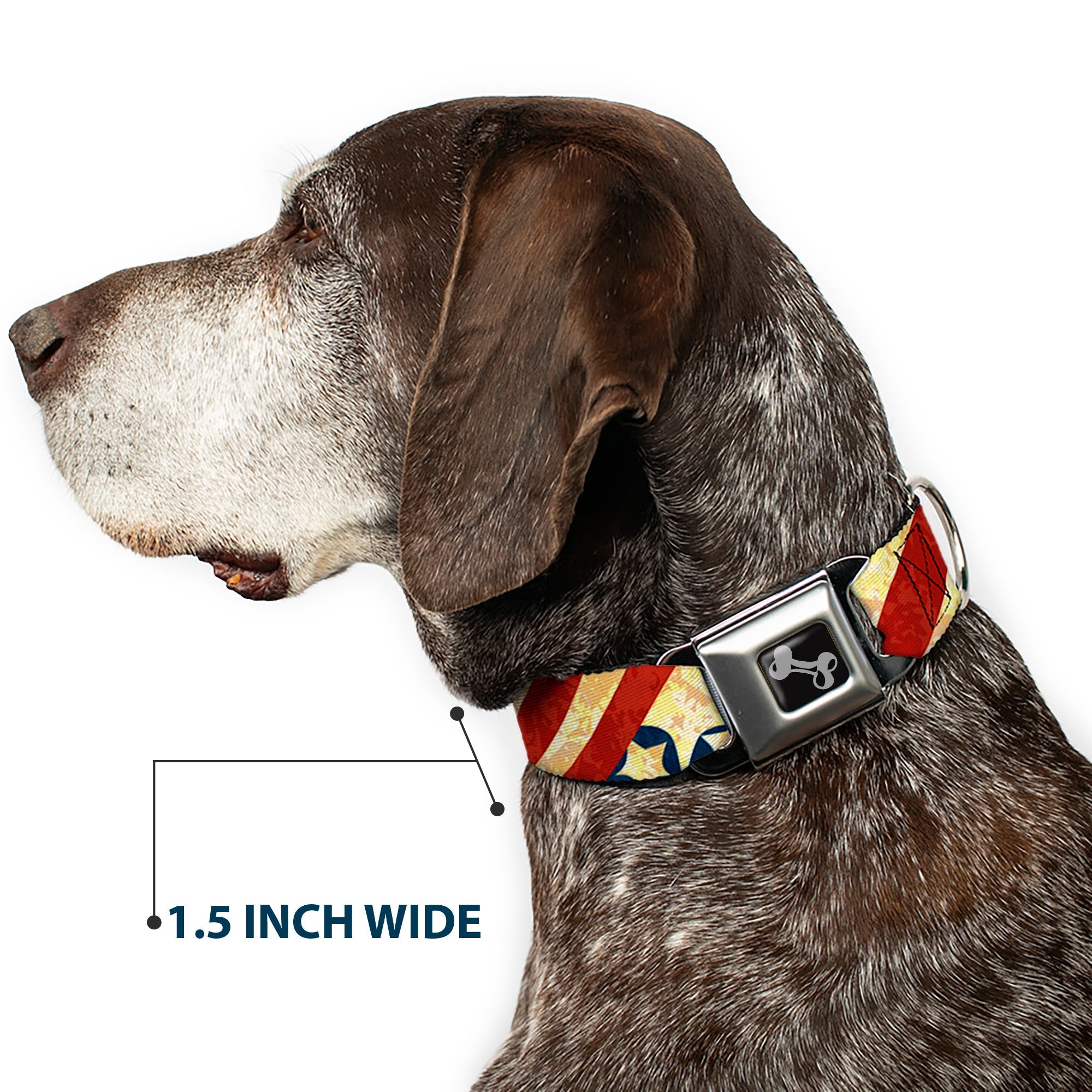 Dog Bone Seatbelt Buckle Collar - Americana Diagonal Vintage Stars & Stripes2
