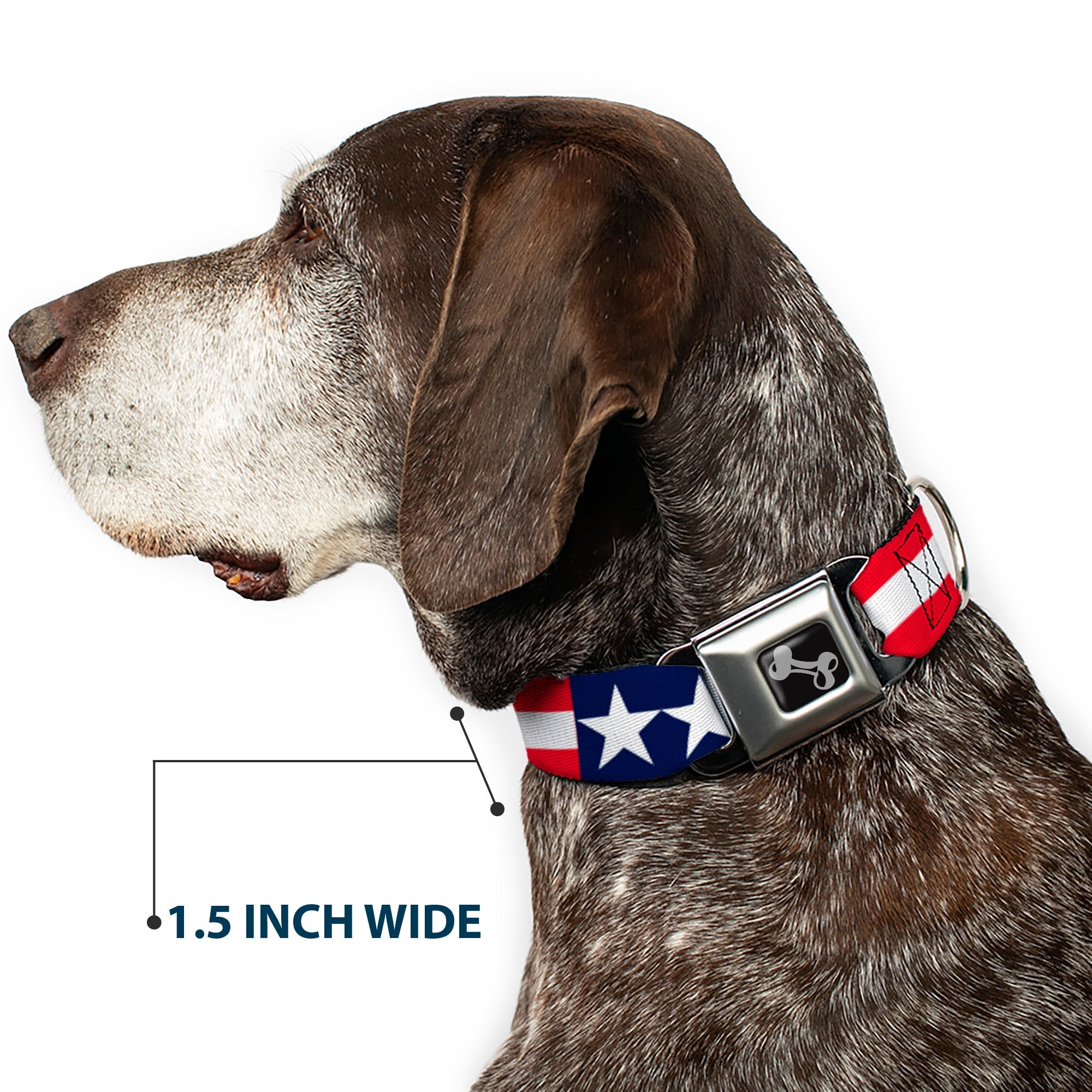 Dog Bone Seatbelt Buckle Collar - Americana Stars & Stripes