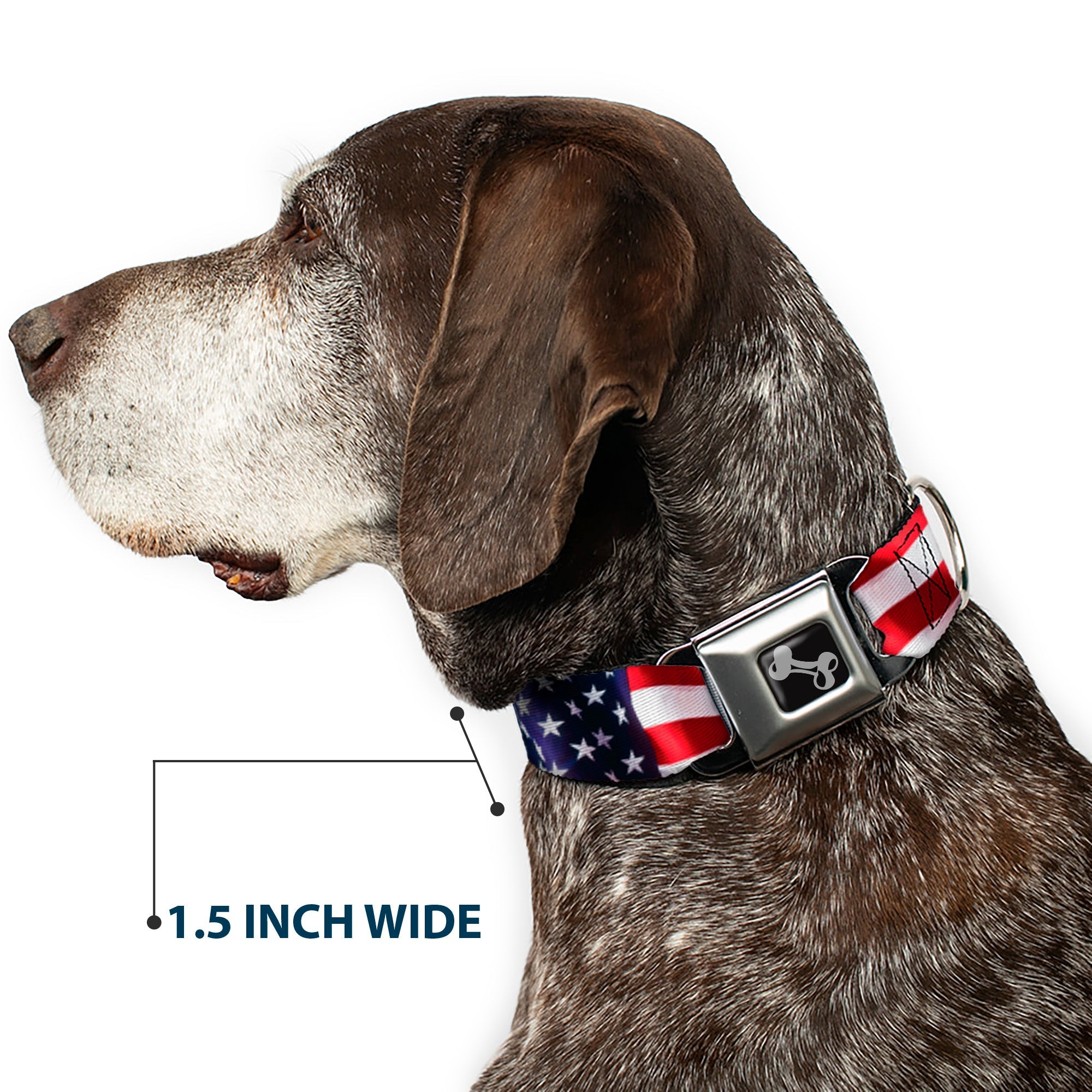 Dog Bone Seatbelt Buckle Collar - American Flag Vivid CLOSE-UP