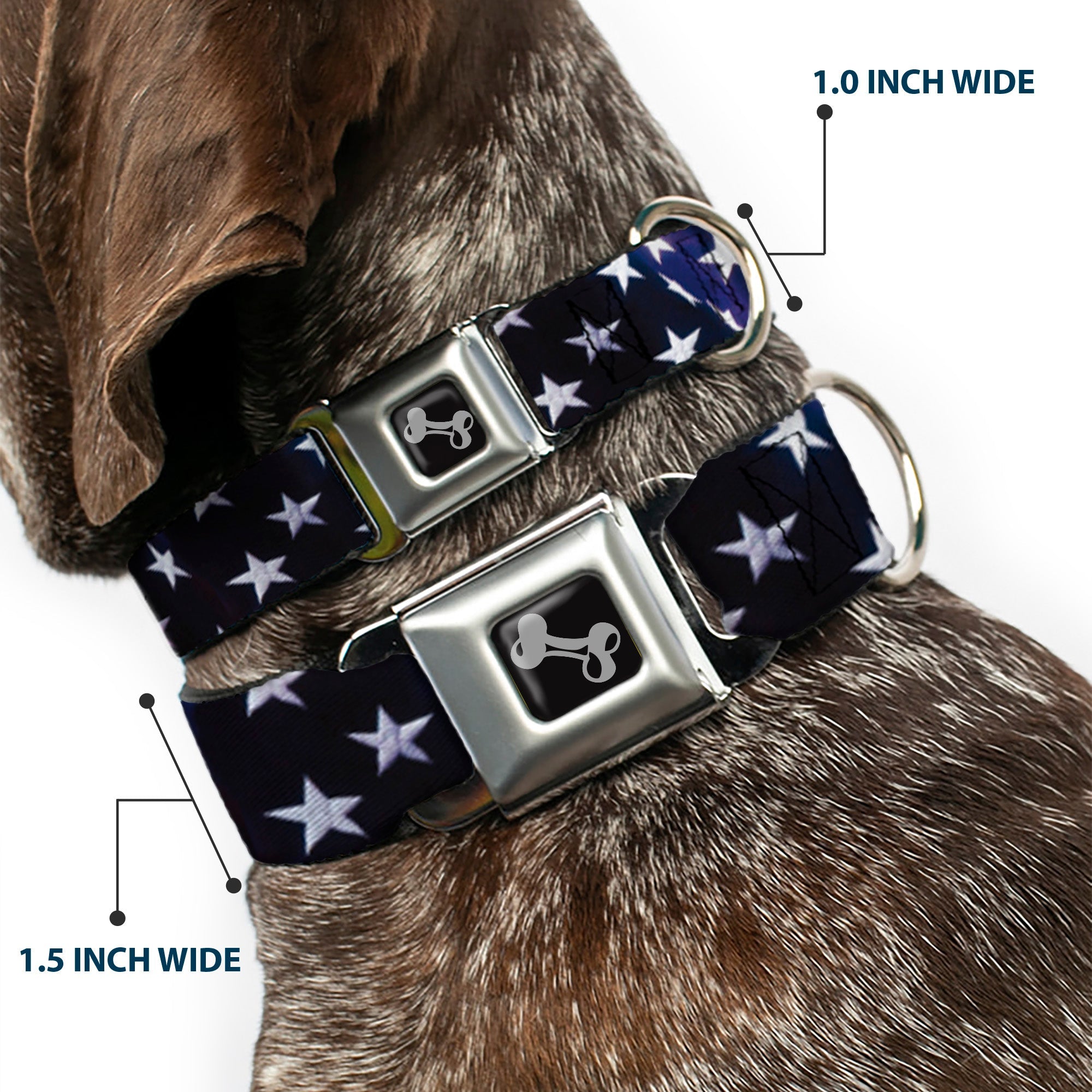 Dog Bone Seatbelt Buckle Collar - American Flag Vivid Stars Blue/White