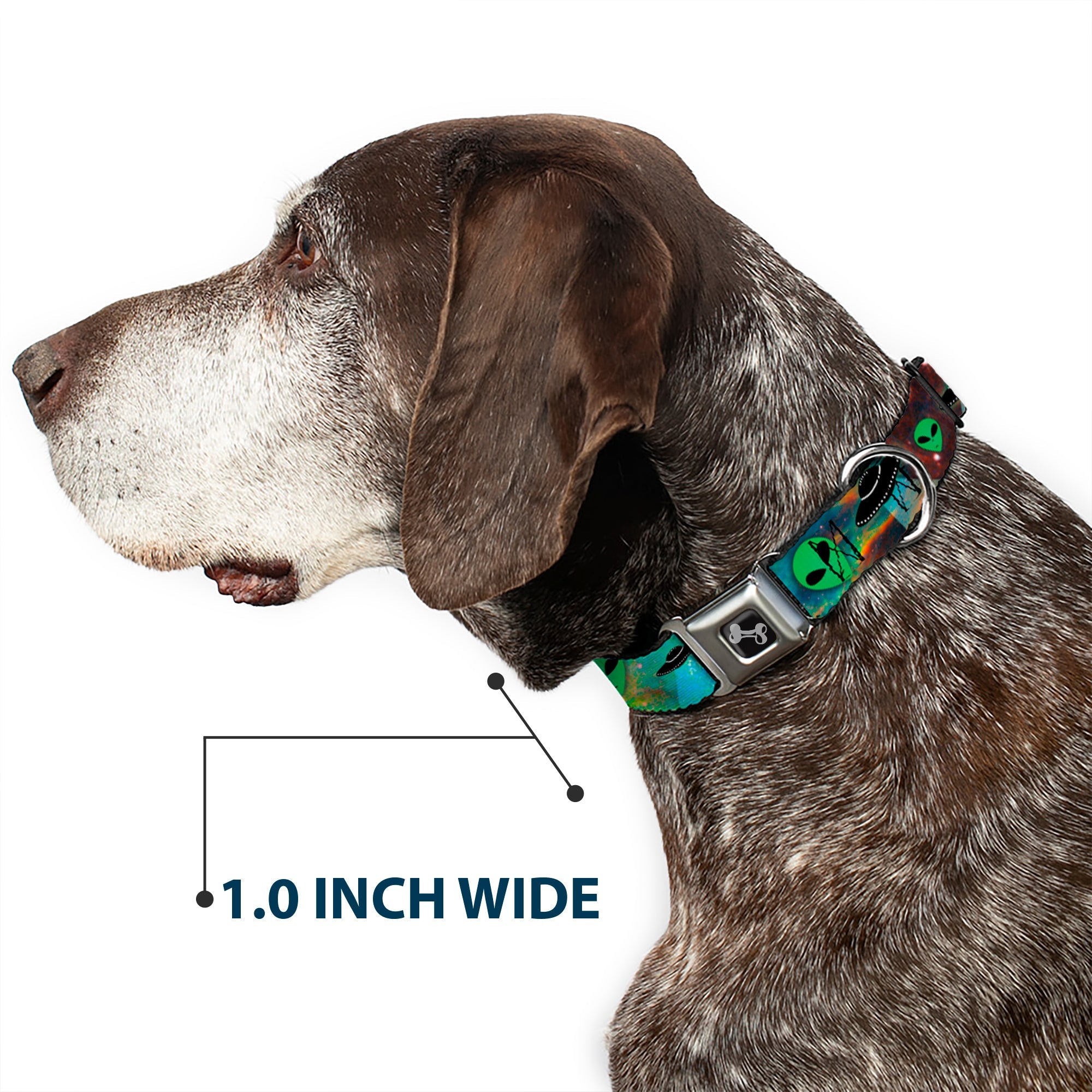 Dog Bone Seatbelt Buckle Collar - Aliens & UFO's Galaxy/Green/Black/White
