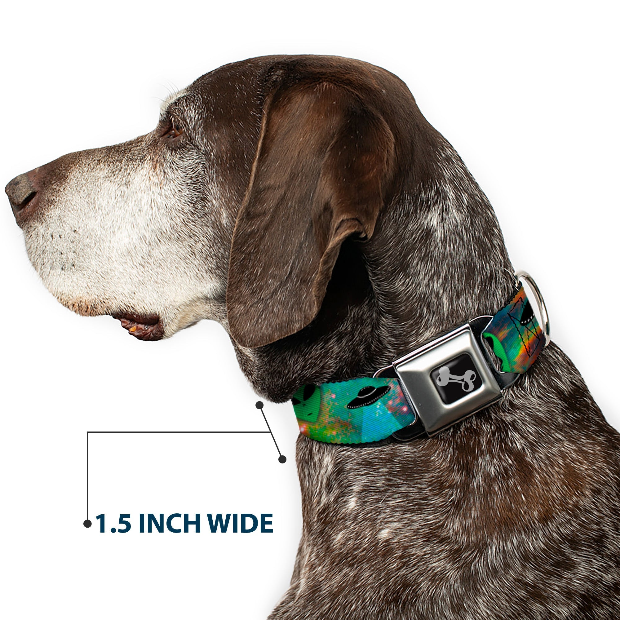 Dog Bone Seatbelt Buckle Collar - Aliens & UFO's Galaxy/Green/Black/White