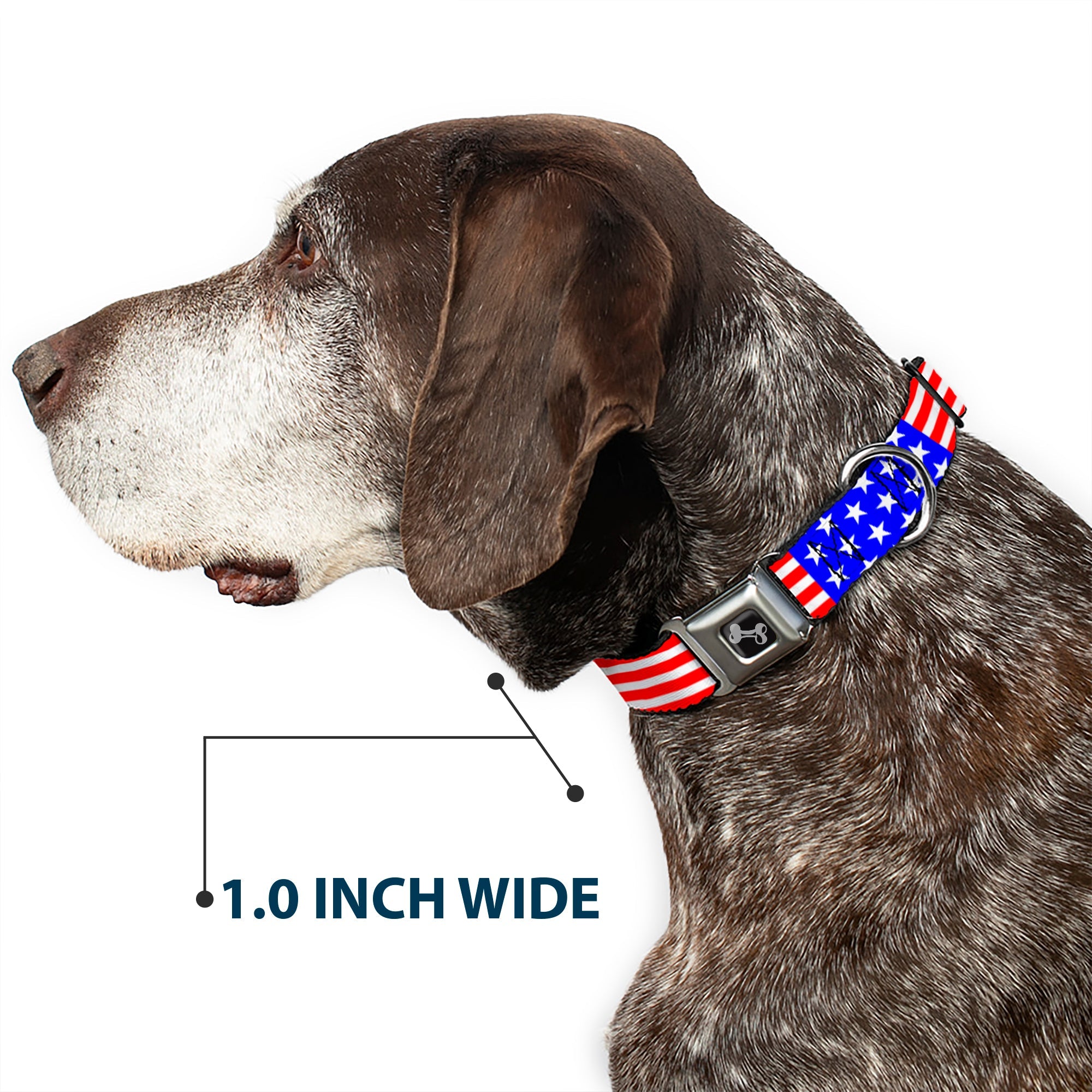 Dog Bone Seatbelt Buckle Collar - Americana Stars & Stripes2 Red/White/Blue