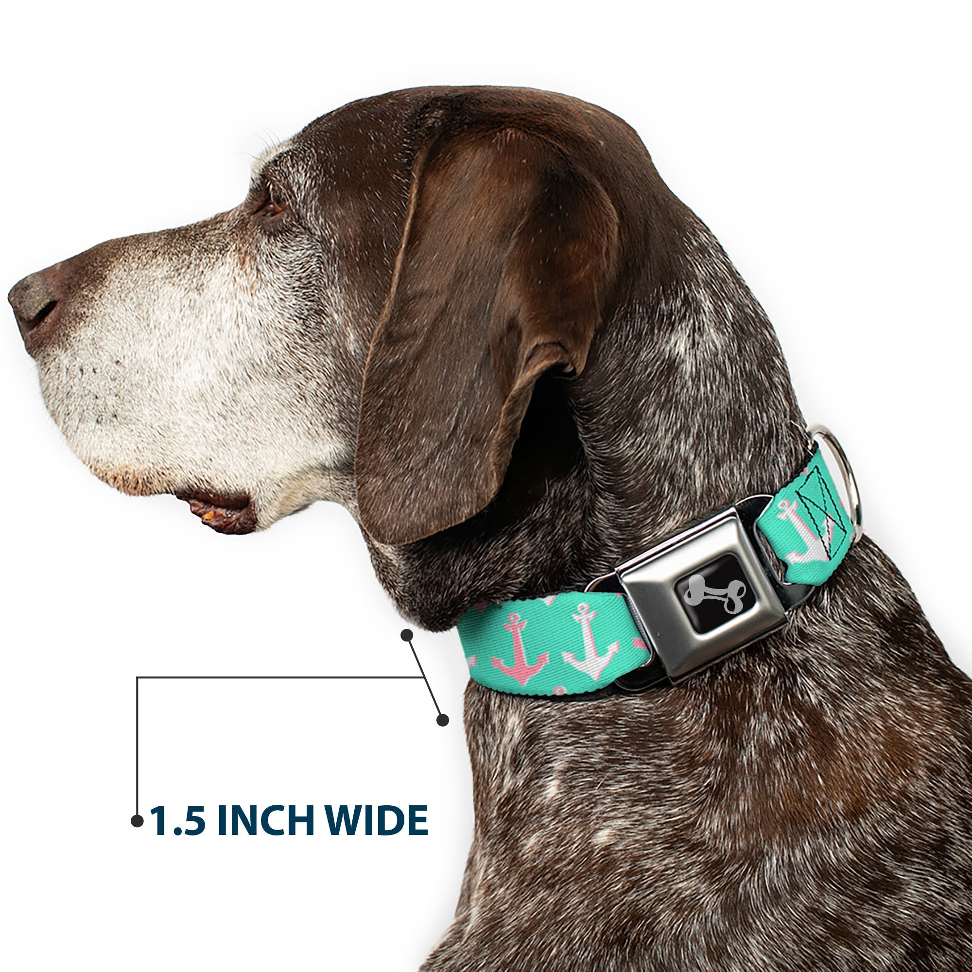 Dog Bone Seatbelt Buckle Collar - Anchor2 CLOSE-UP Green/Pink/White