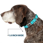 Dog Bone Seatbelt Buckle Collar - Anchor2 CLOSE-UP Turquoise/Blues