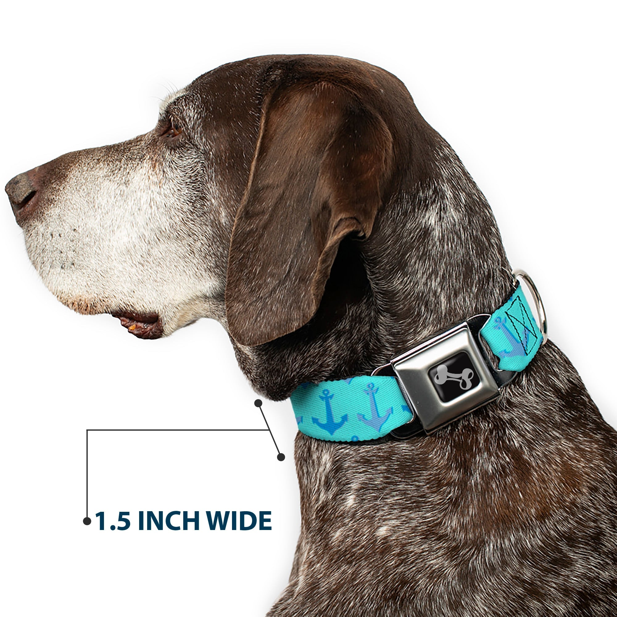 Dog Bone Seatbelt Buckle Collar - Anchor2 CLOSE-UP Turquoise/Blues